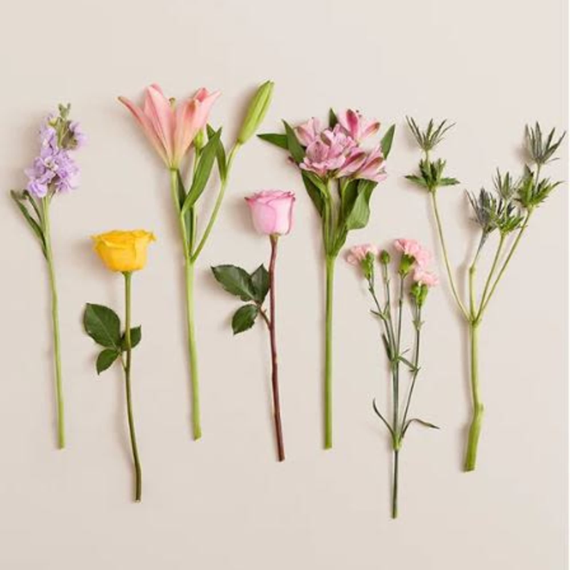  Pet Friendly?
No This arrangement contains Oriental Lilies, which are highly toxic