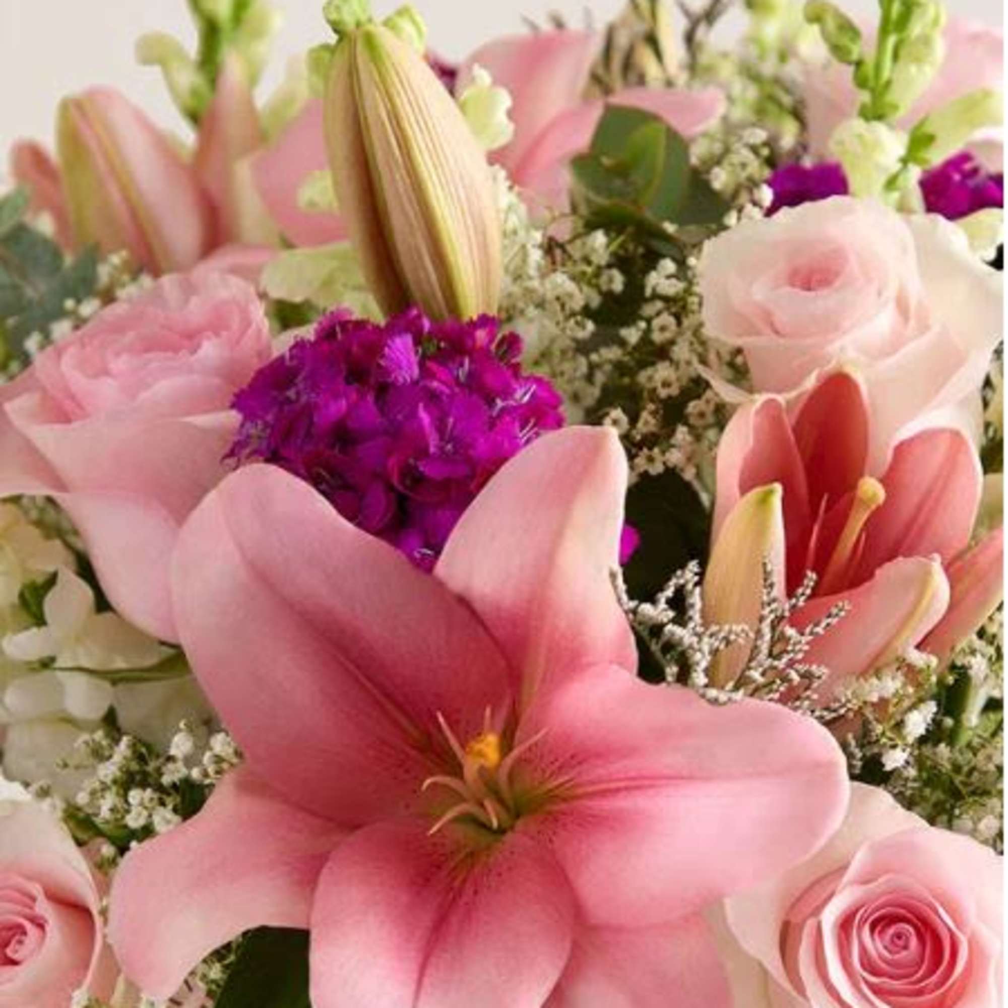  Pet Friendly?
No This arrangement contains Oriental Lilies, which are highly toxic