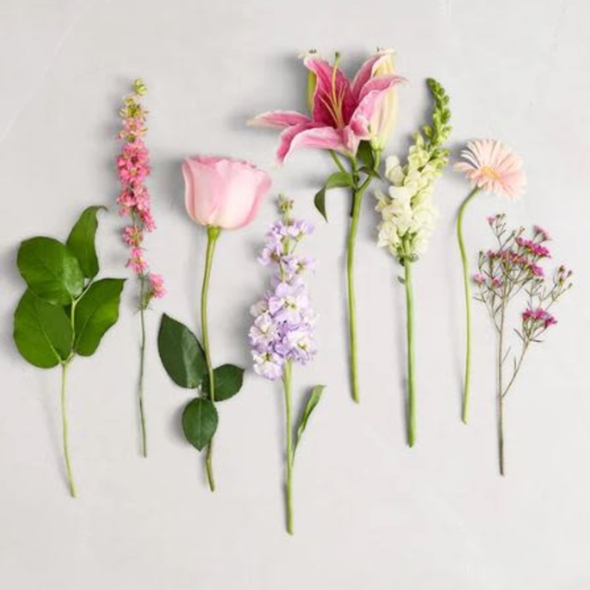  Pet Friendly?
No This arrangement contains Lilies, which are highly toxic to
