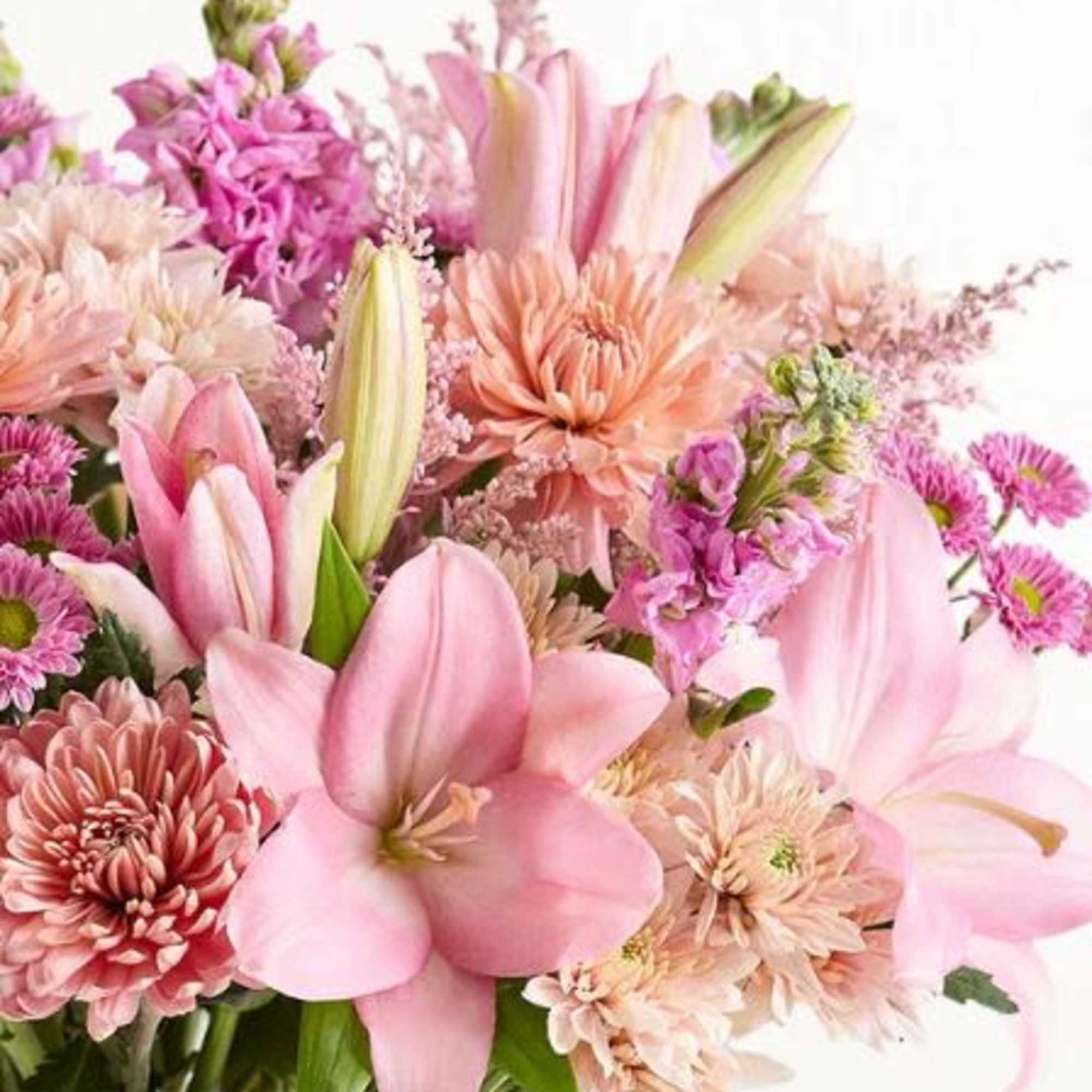  Pet Friendly?
No This arrangement contains Lilies, which are highly toxic to