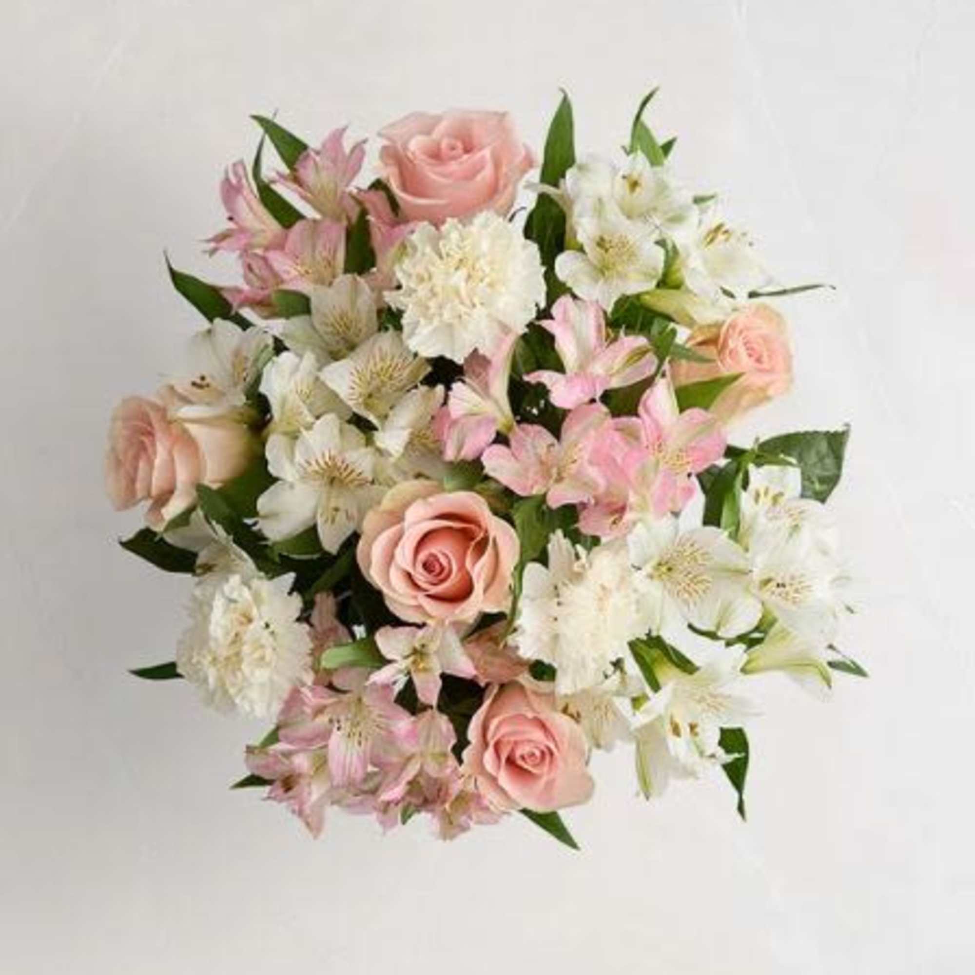  Pet Friendly?
NO . Alstroemeria and carnations can cause mild stomach upset