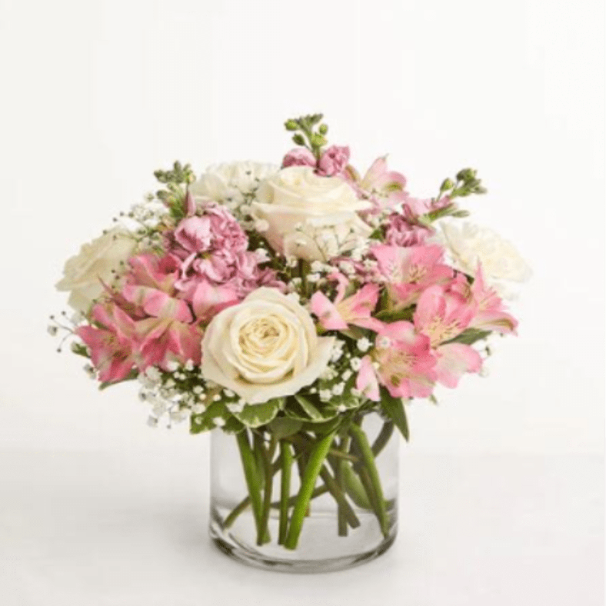  Pet Friendly?
NO .
Alstroemeria and Baby&rsquo;s Breath are considered mildly toxic to