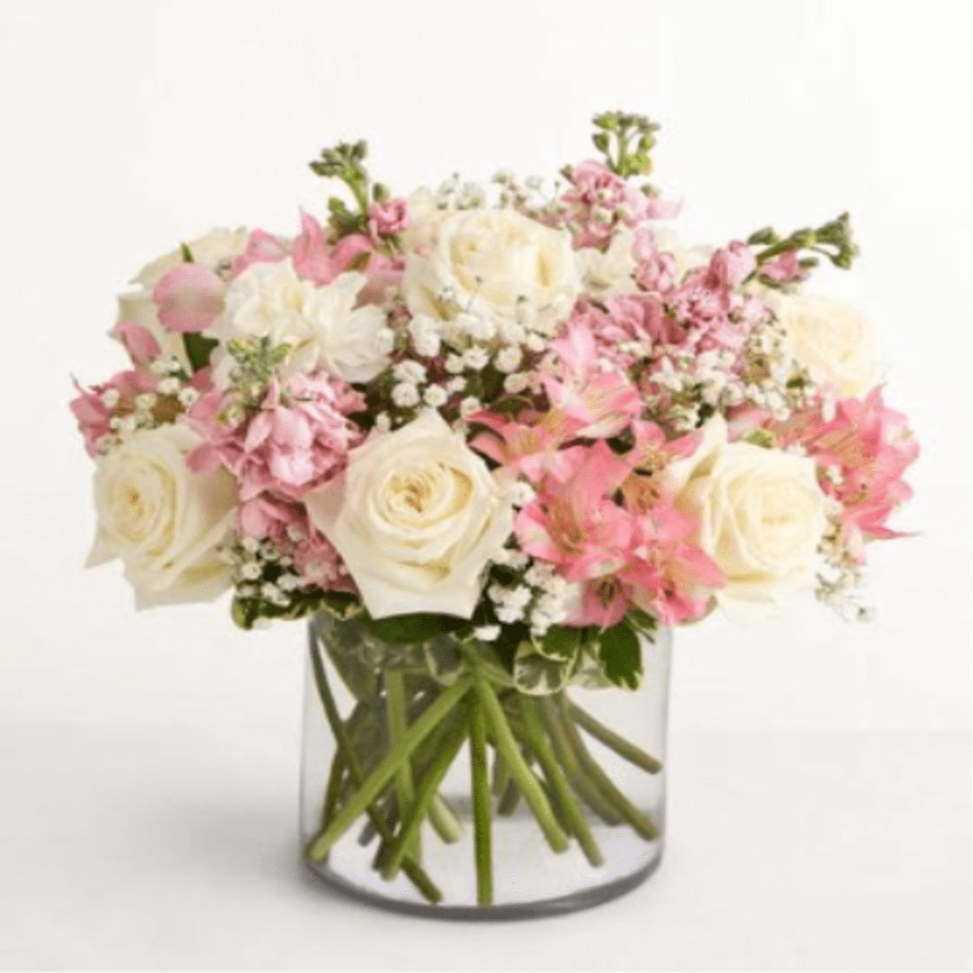  Pet Friendly?
NO .
Alstroemeria and Baby&rsquo;s Breath are considered mildly toxic to