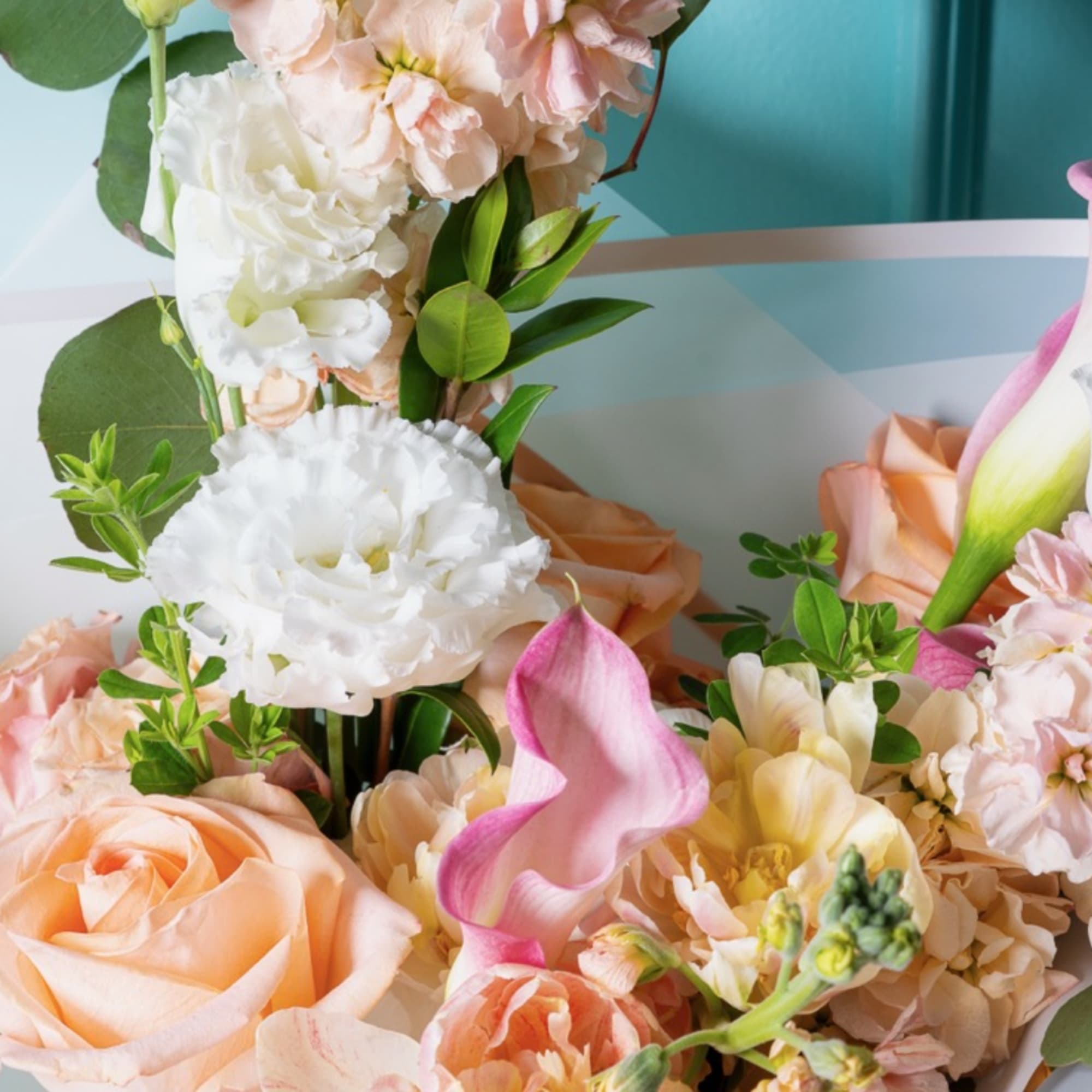 The Mrs. Tracy Collection: A Mother in Full Bloom is a love