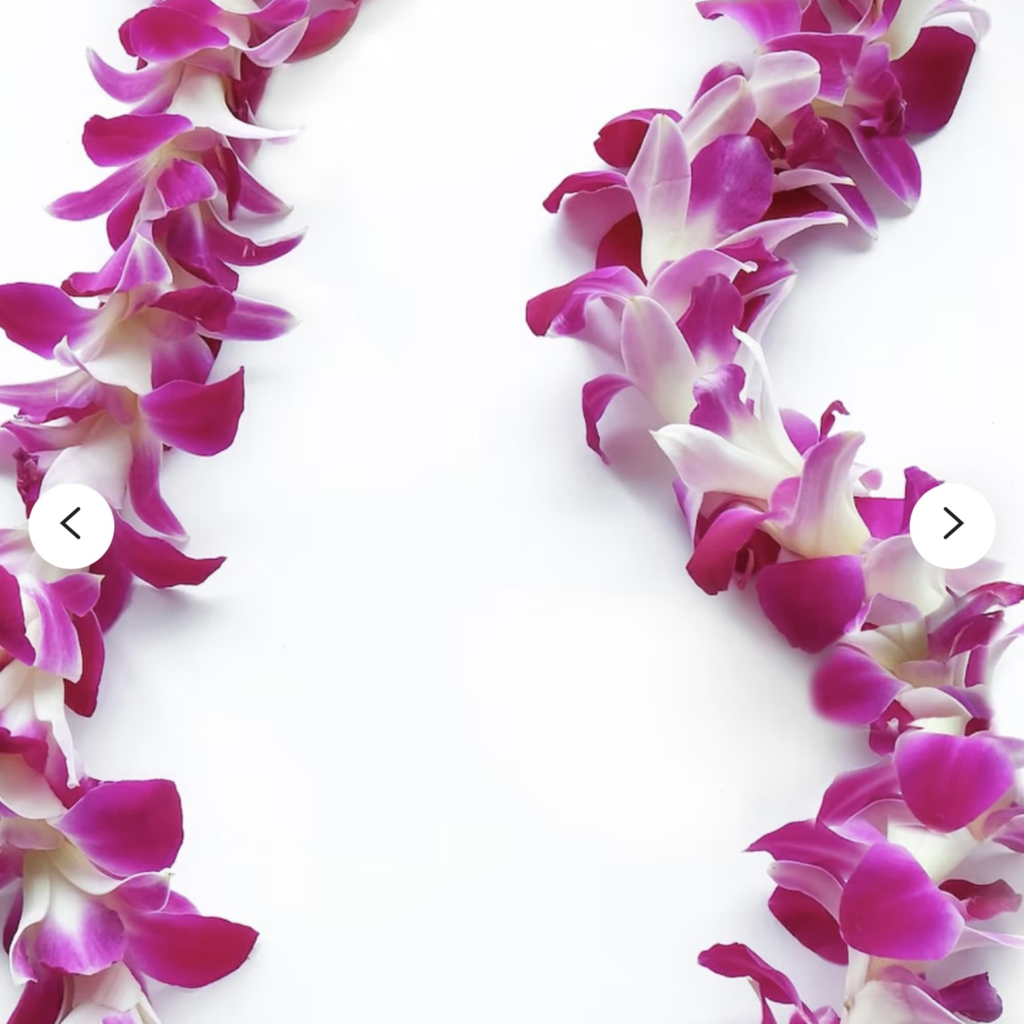 Pink and white orchid lei on a white background
