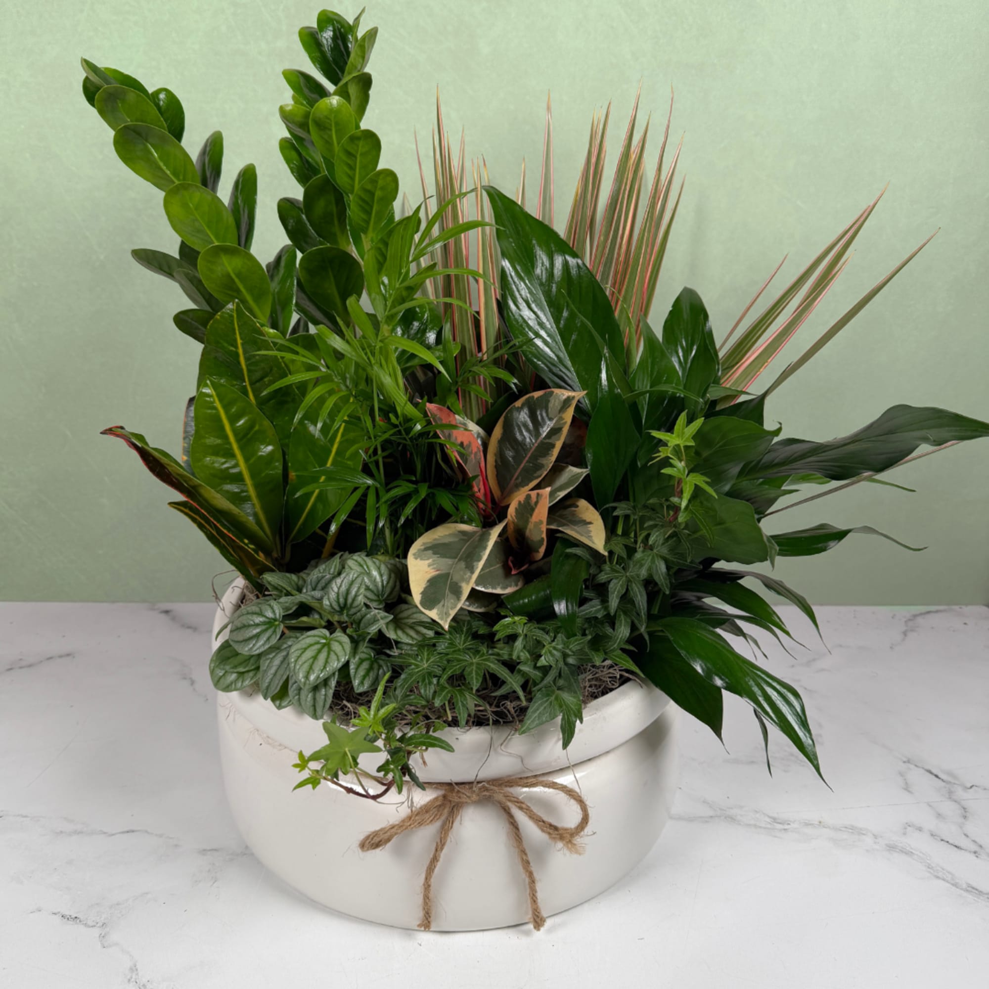 Lush, layered foliage takes center stage in this Emerald Oasis dish garden: