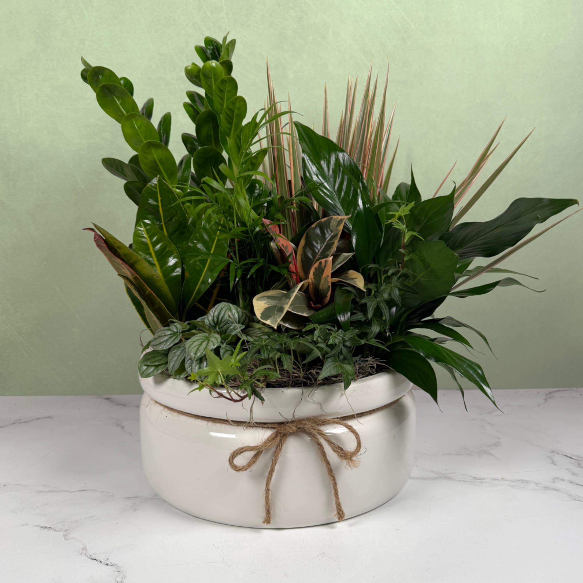 Lush, layered foliage takes center stage in this Emerald Oasis dish garden: