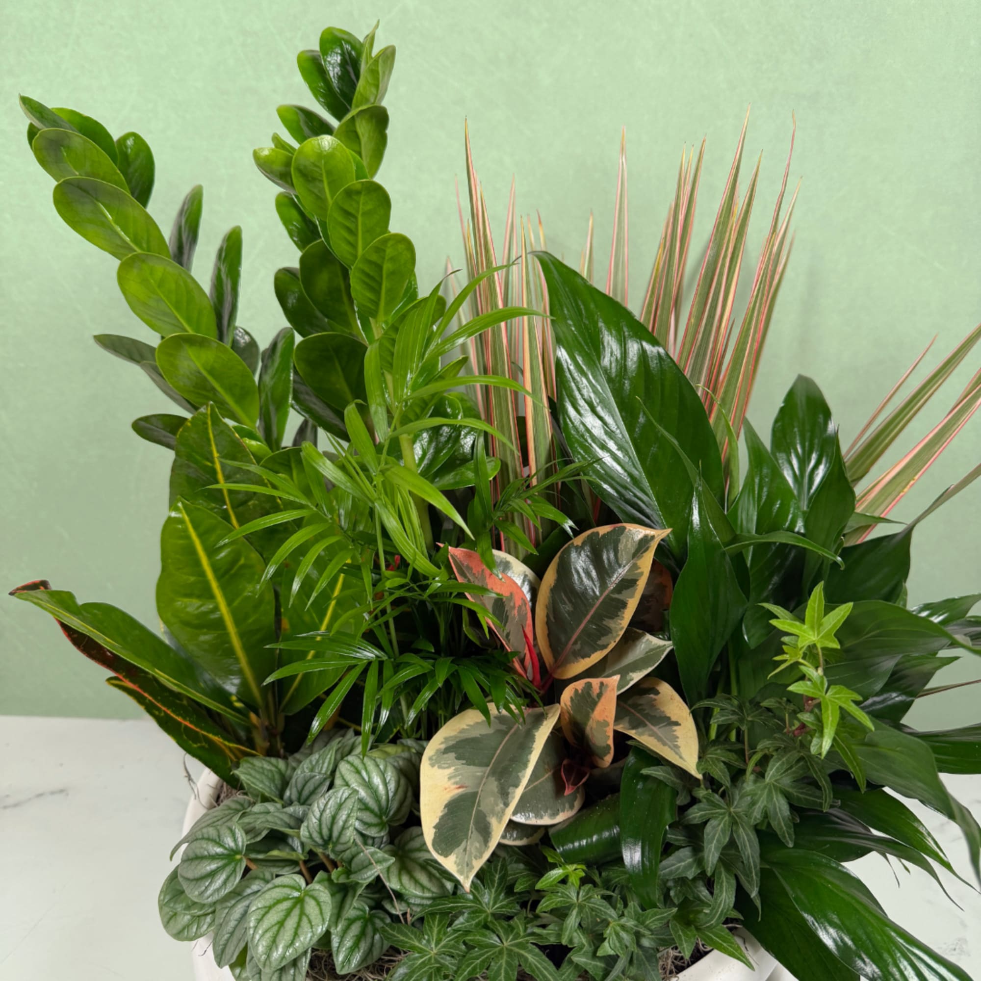 Lush, layered foliage takes center stage in this Emerald Oasis dish garden: