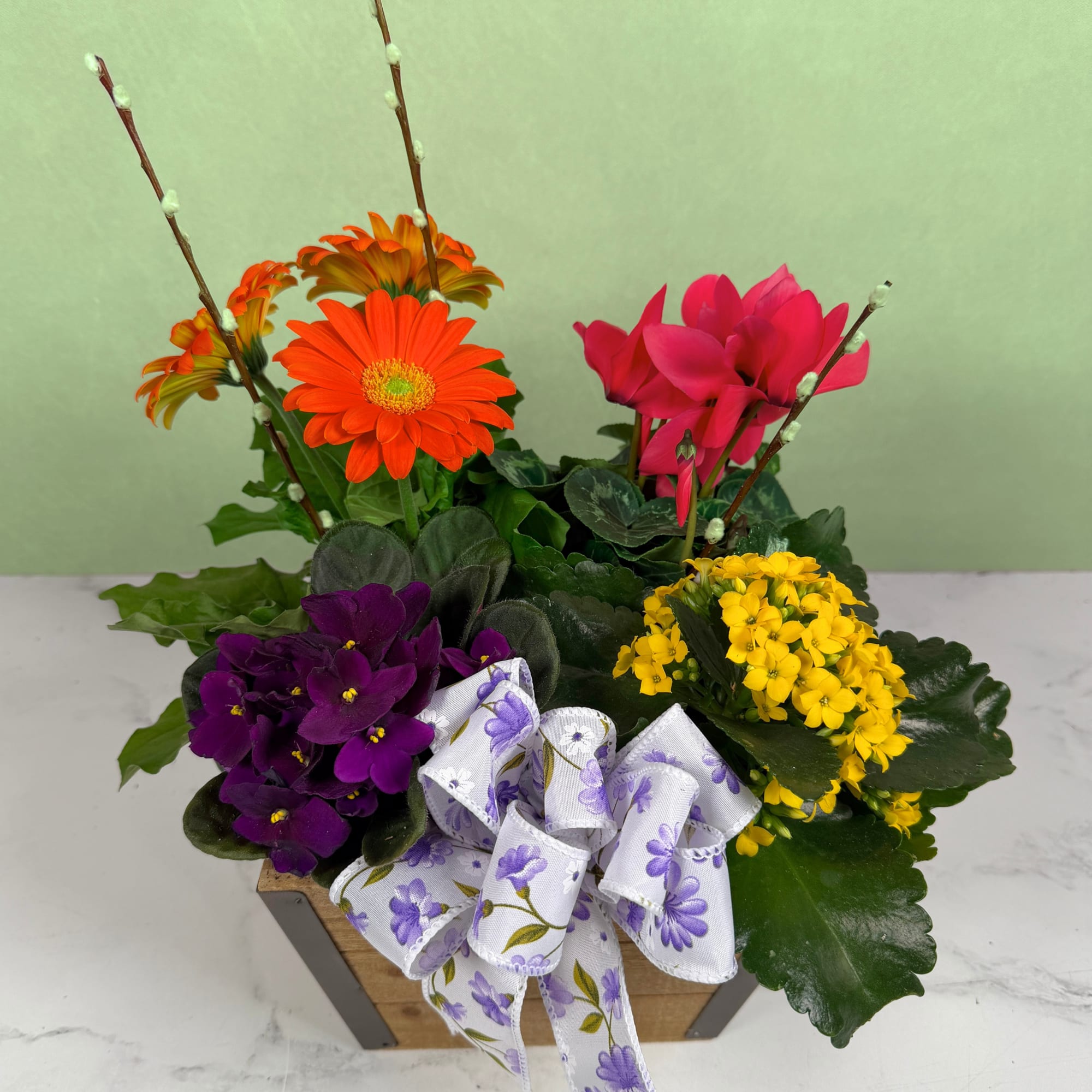 Our Flower Patch Paradise is a lively dish garden that bursts with