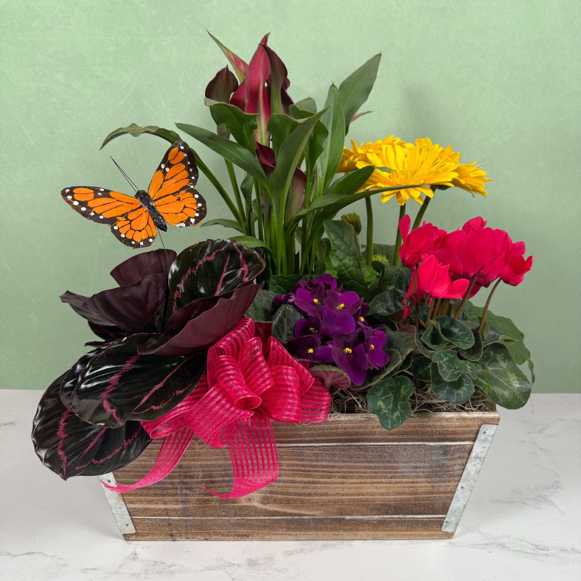 The Monarch Meadow Dish Garden is a cheerful, garden-style dish garden arranged