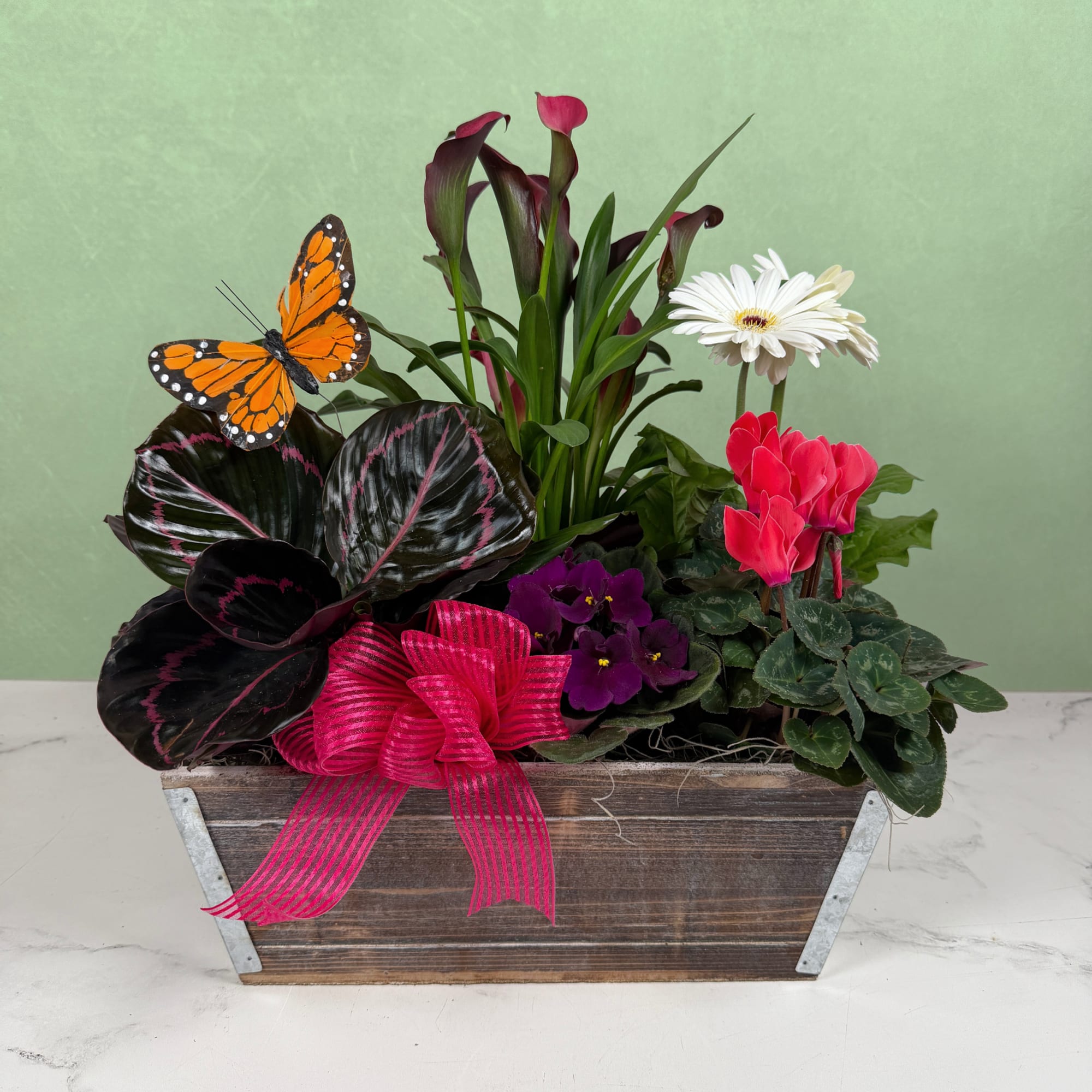 The Monarch Meadow Dish Garden is a cheerful, garden-style dish garden arranged