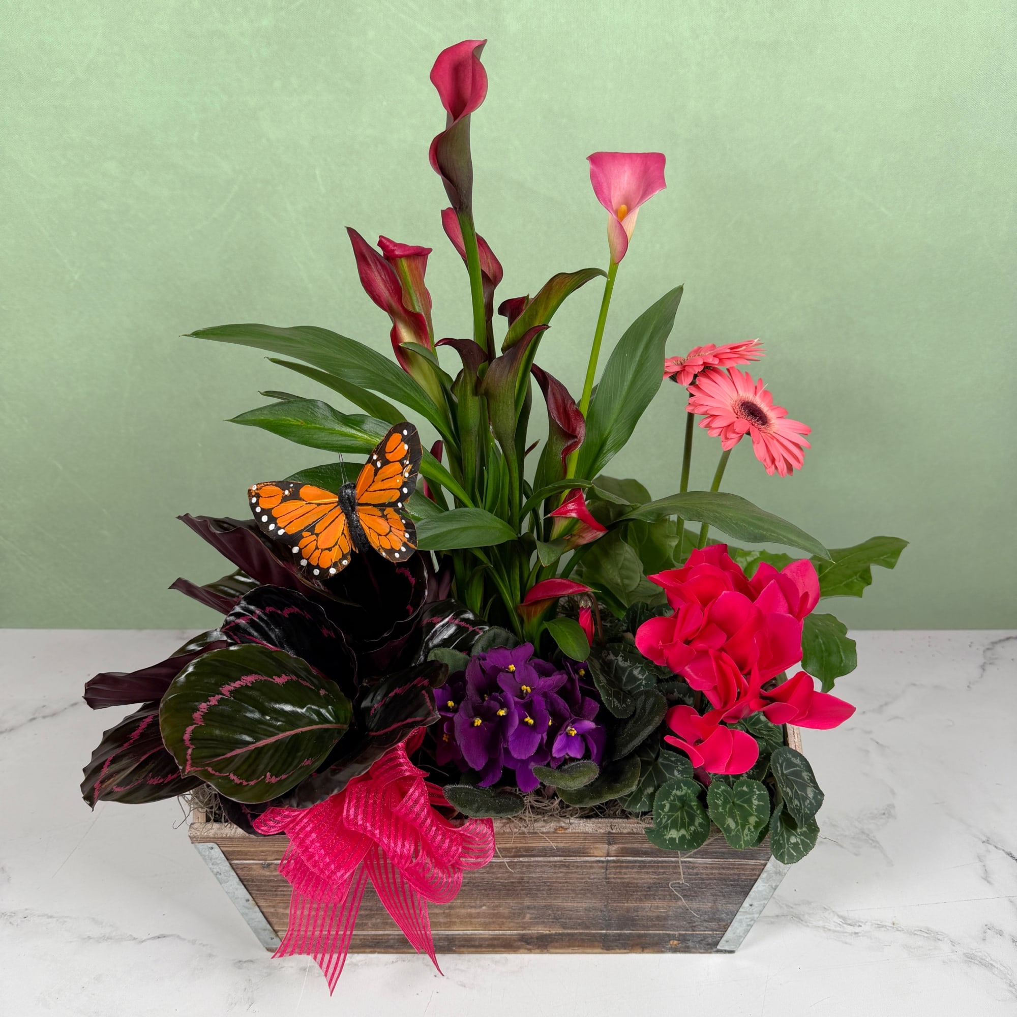 The Monarch Meadow Dish Garden is a cheerful, garden-style dish garden arranged