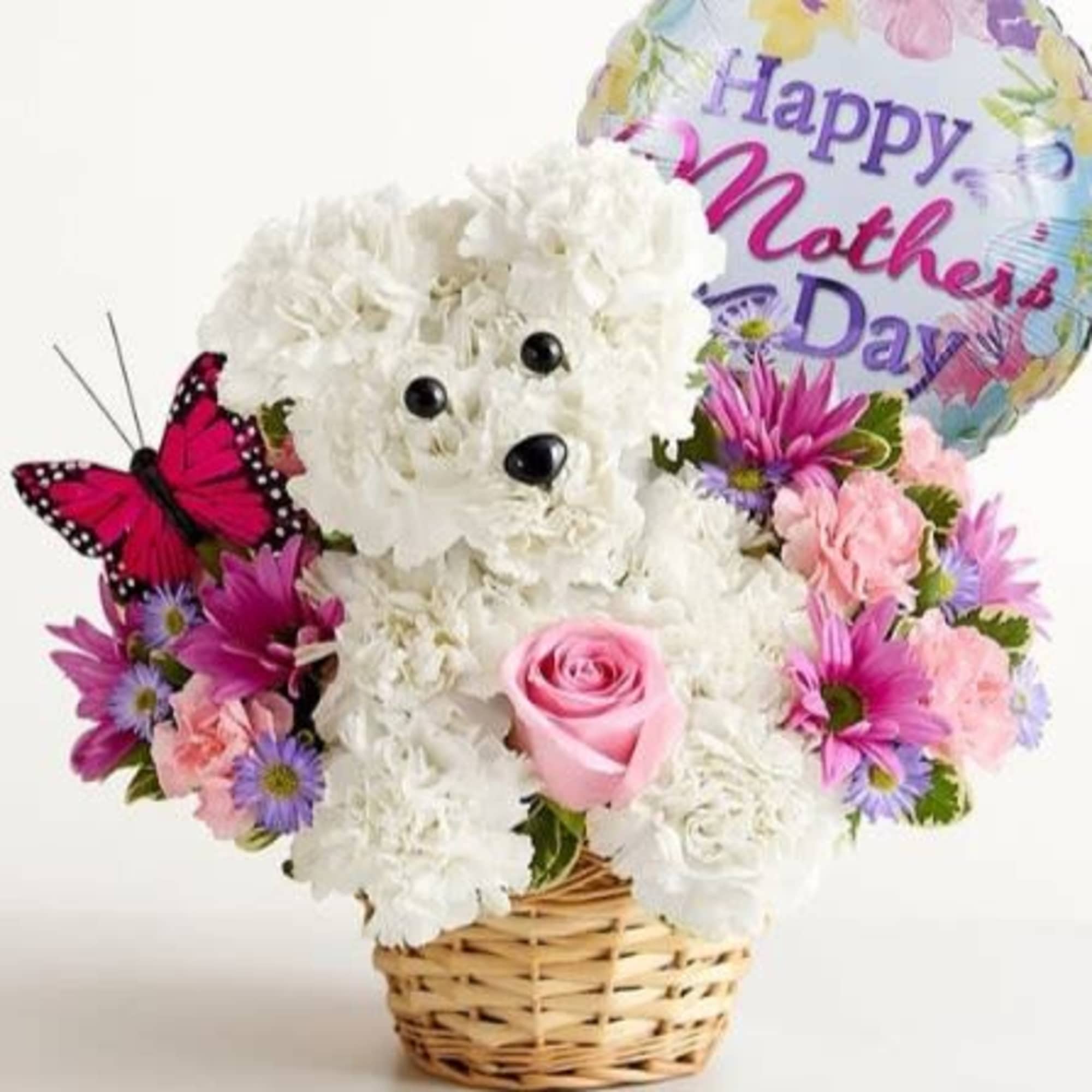  Pet Friendly?
No
Contains&nbsp;chrysanthemums/daisy poms, which can be toxic to cats and dogs