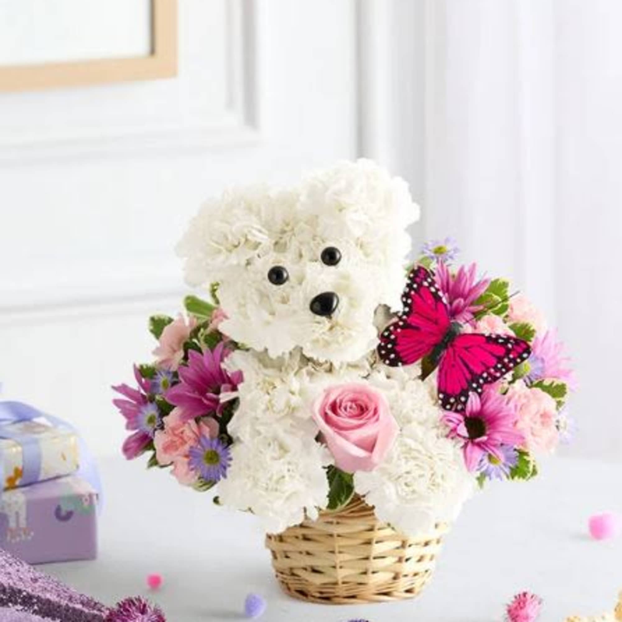  Pet Friendly?
No
Contains&nbsp;chrysanthemums/daisy poms, which can be toxic to cats and dogs