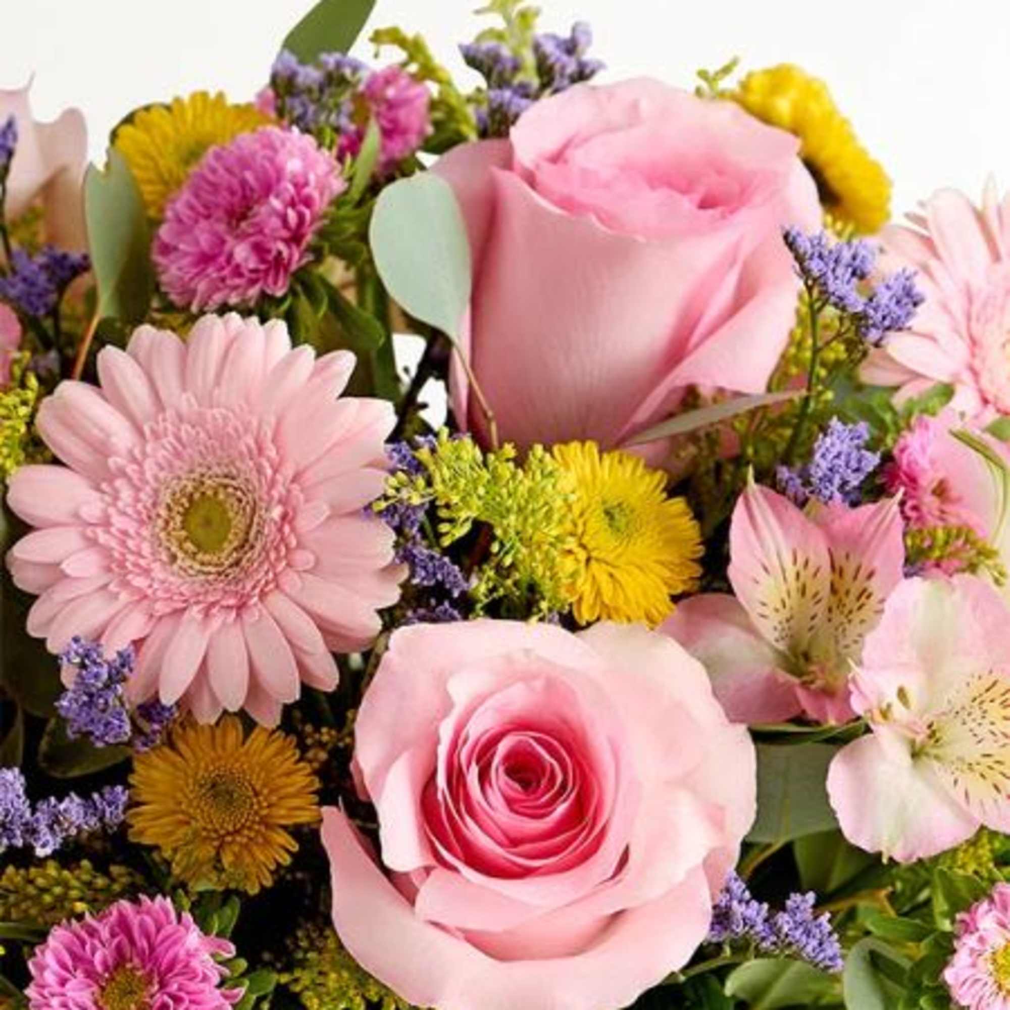  Pet Friendly?
No
This arrangement includes eucalyptus and chrysanthemums/daisies, which are not safe