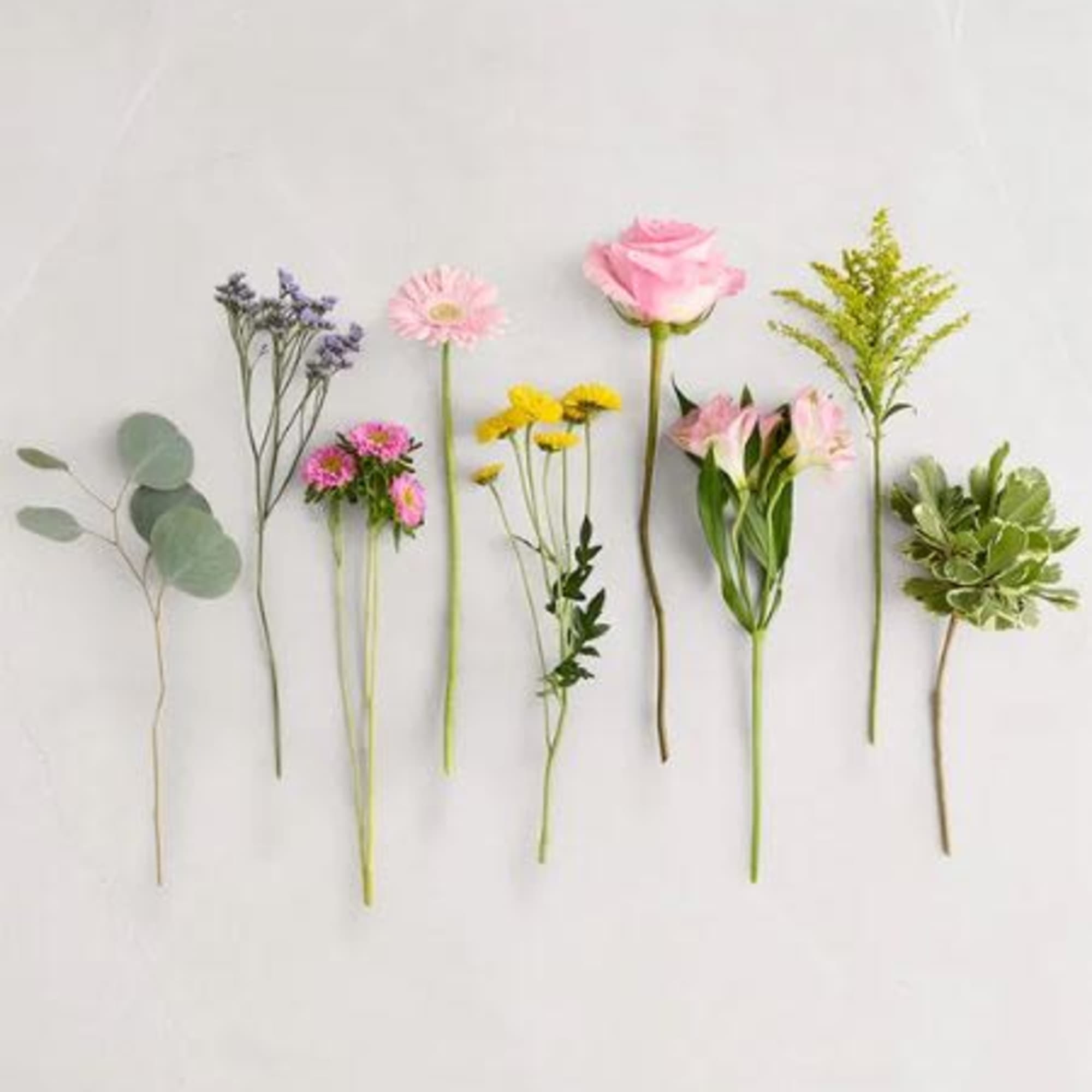  Pet Friendly?
No
This arrangement includes eucalyptus and chrysanthemums/daisies, which are not safe