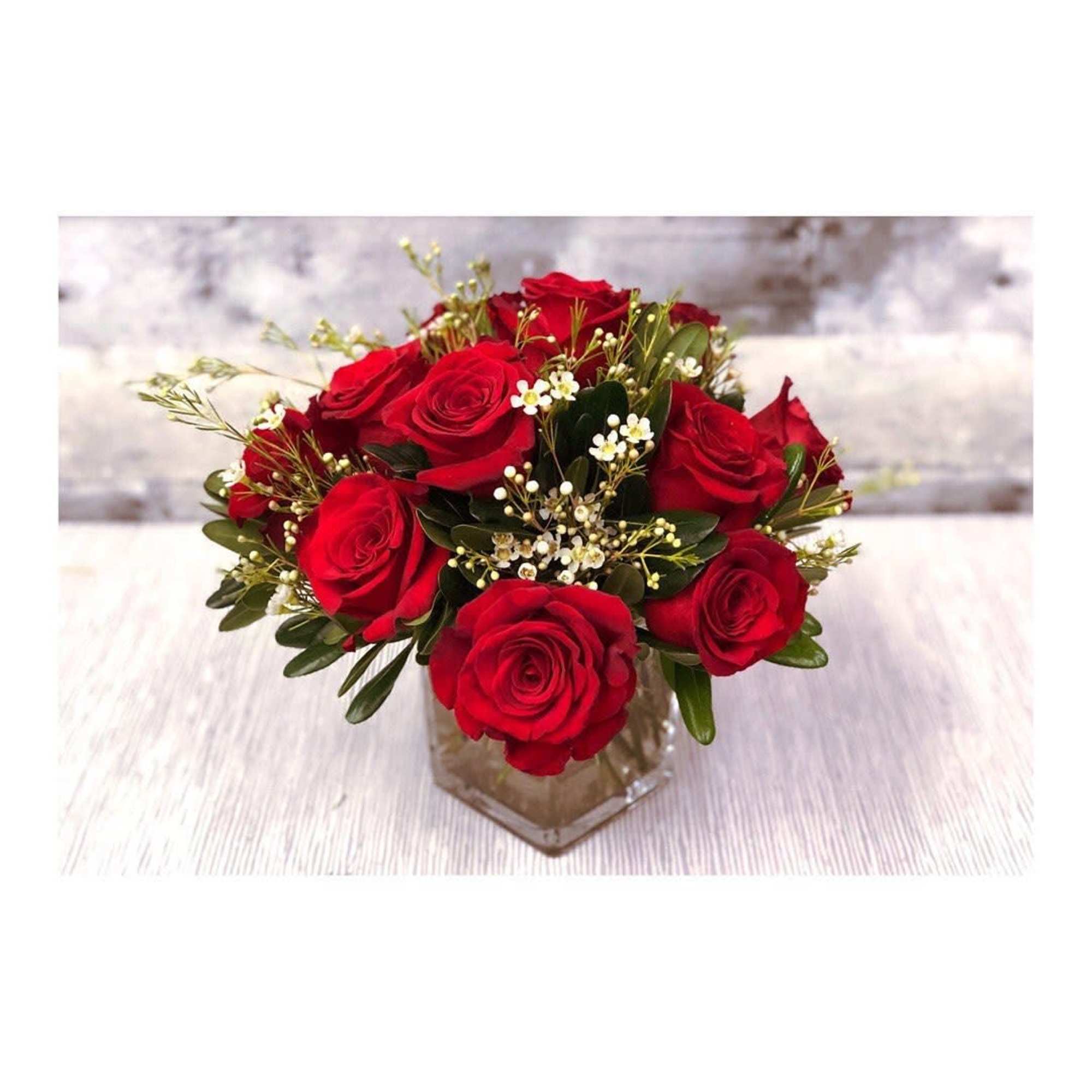 Red roses arranged in a clear glass vase with small white filler flowers.