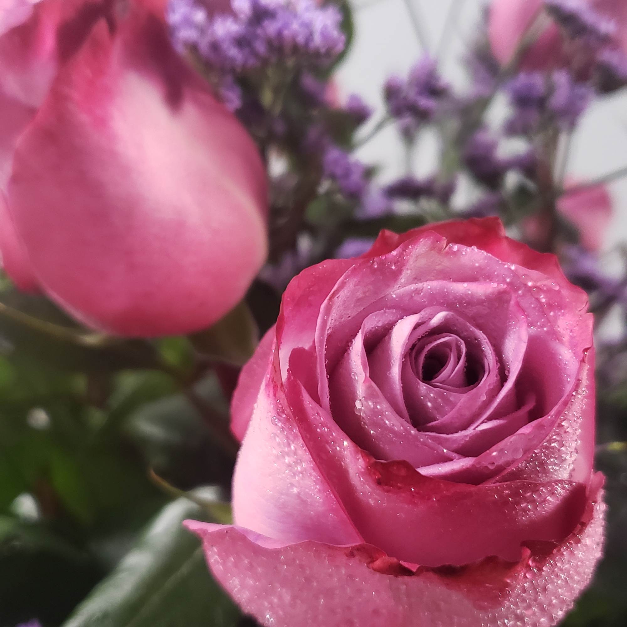 Pink roses with purple filler flowers in a bouquet