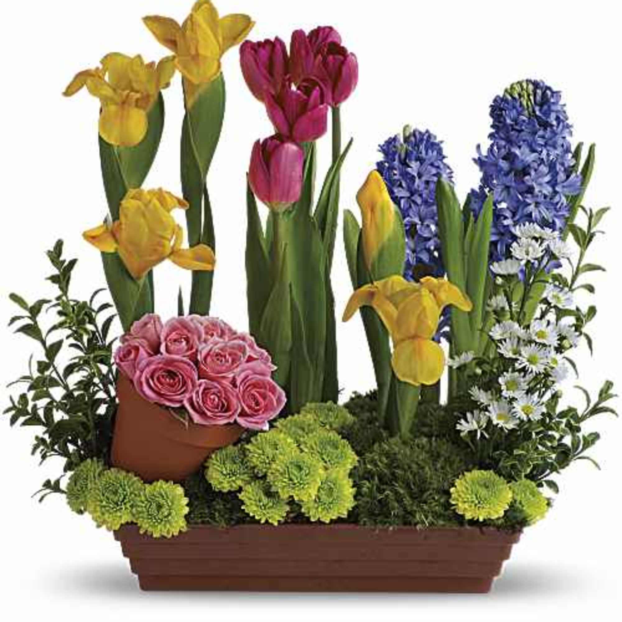 Roses and tulips and hyacinth - oh, my! All your spring favorites