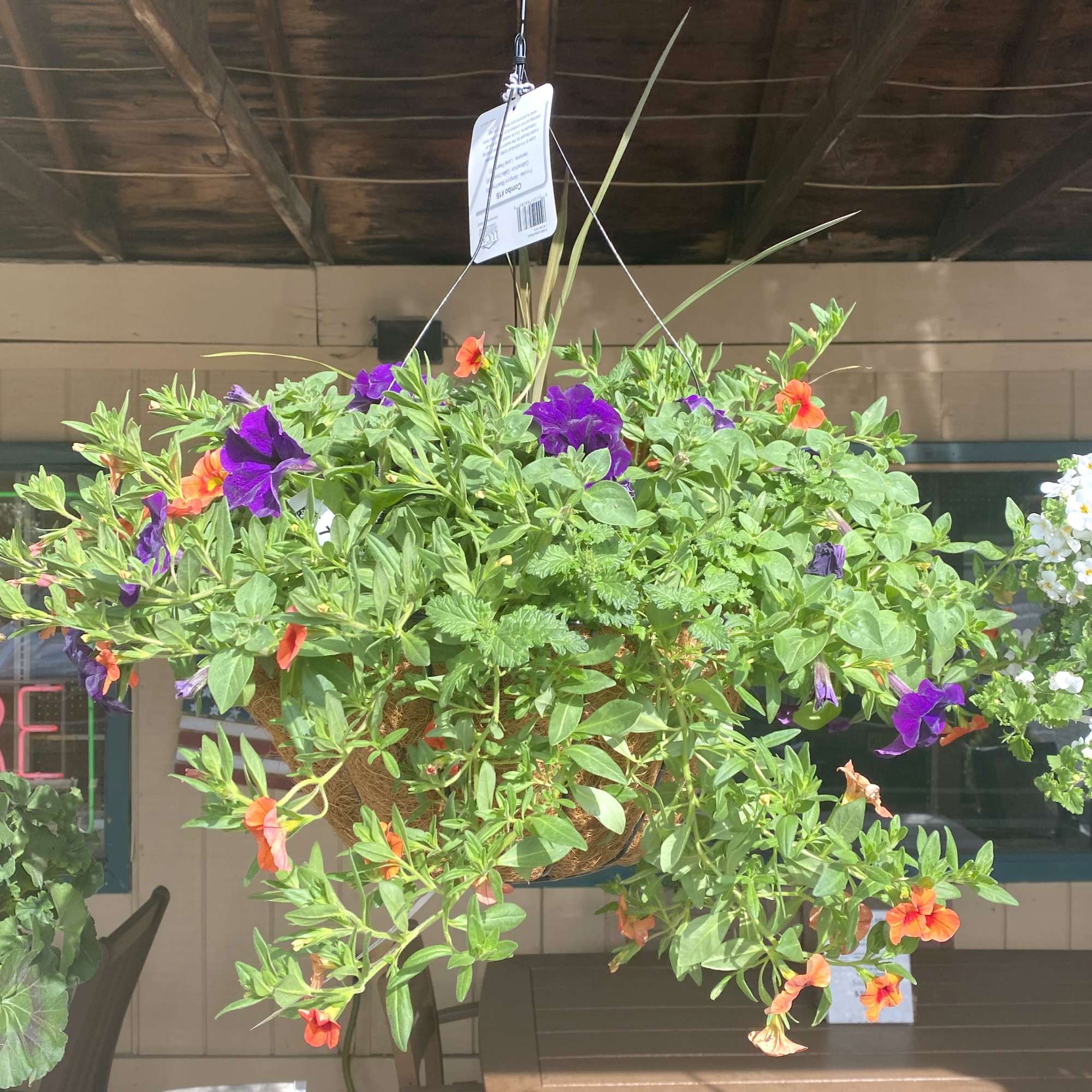 A nice, bright hanging basket great to decorate the outside!