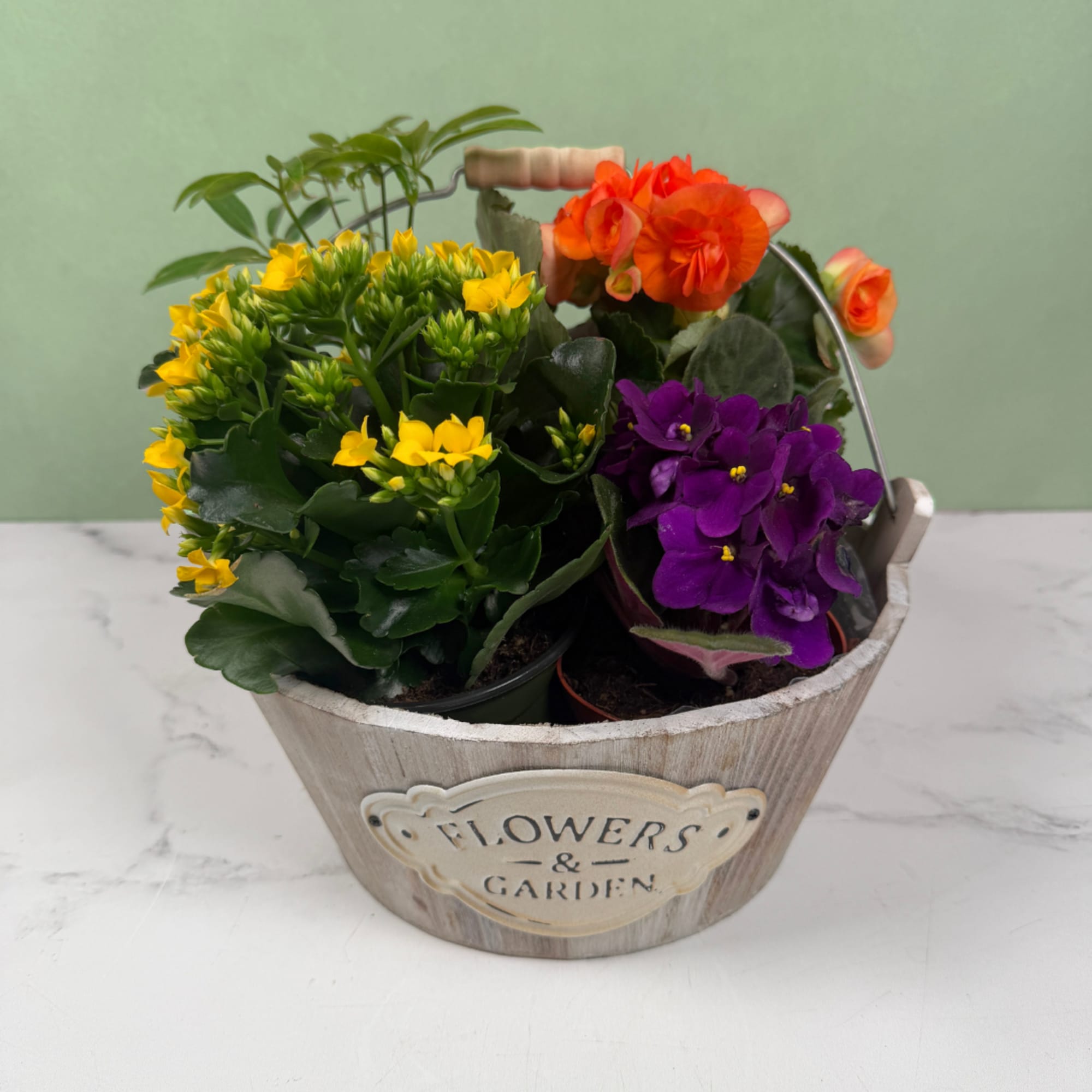 A cheerful, garden-style arrangement of potted flowering plants that feels like a