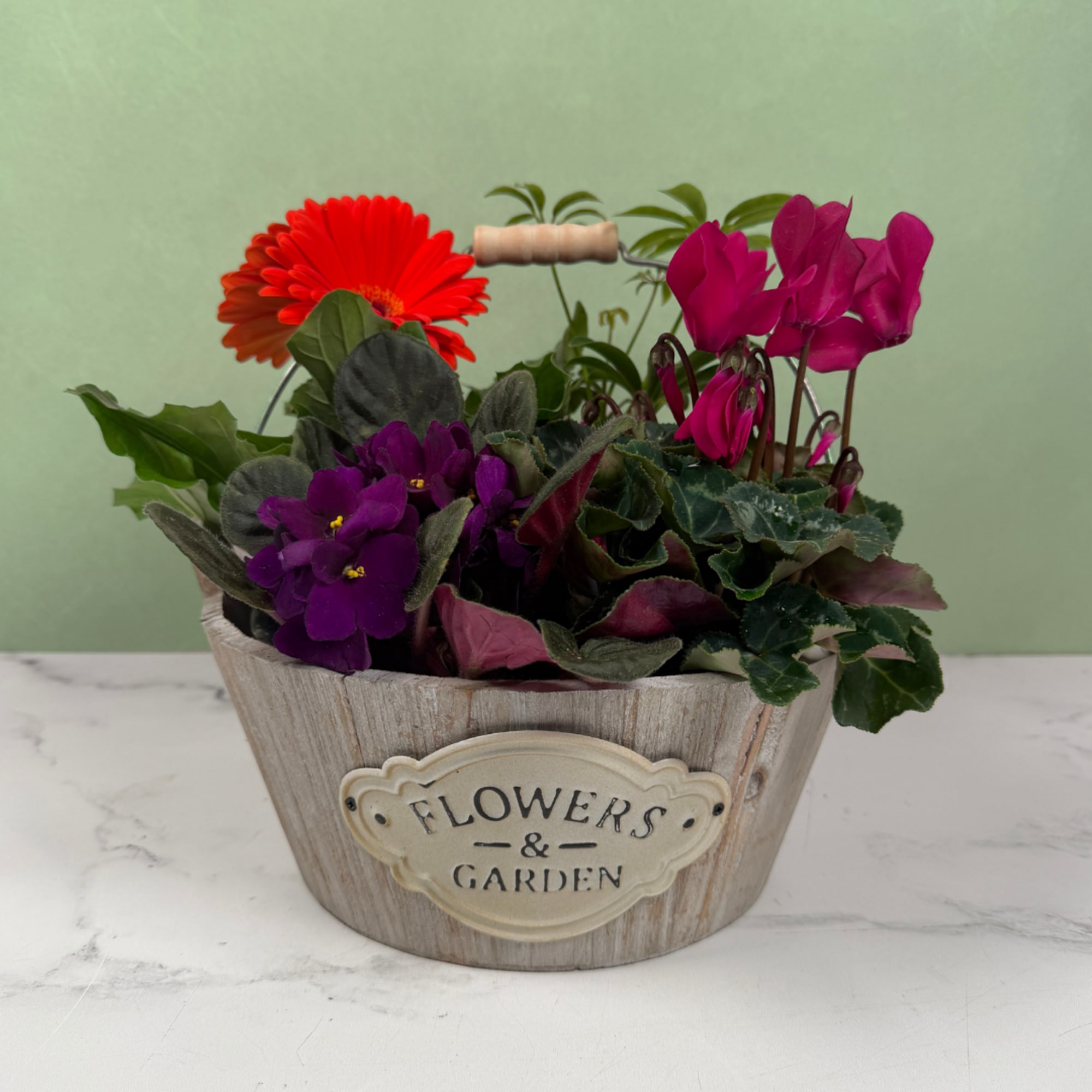 A cheerful, garden-style arrangement of potted flowering plants that feels like a