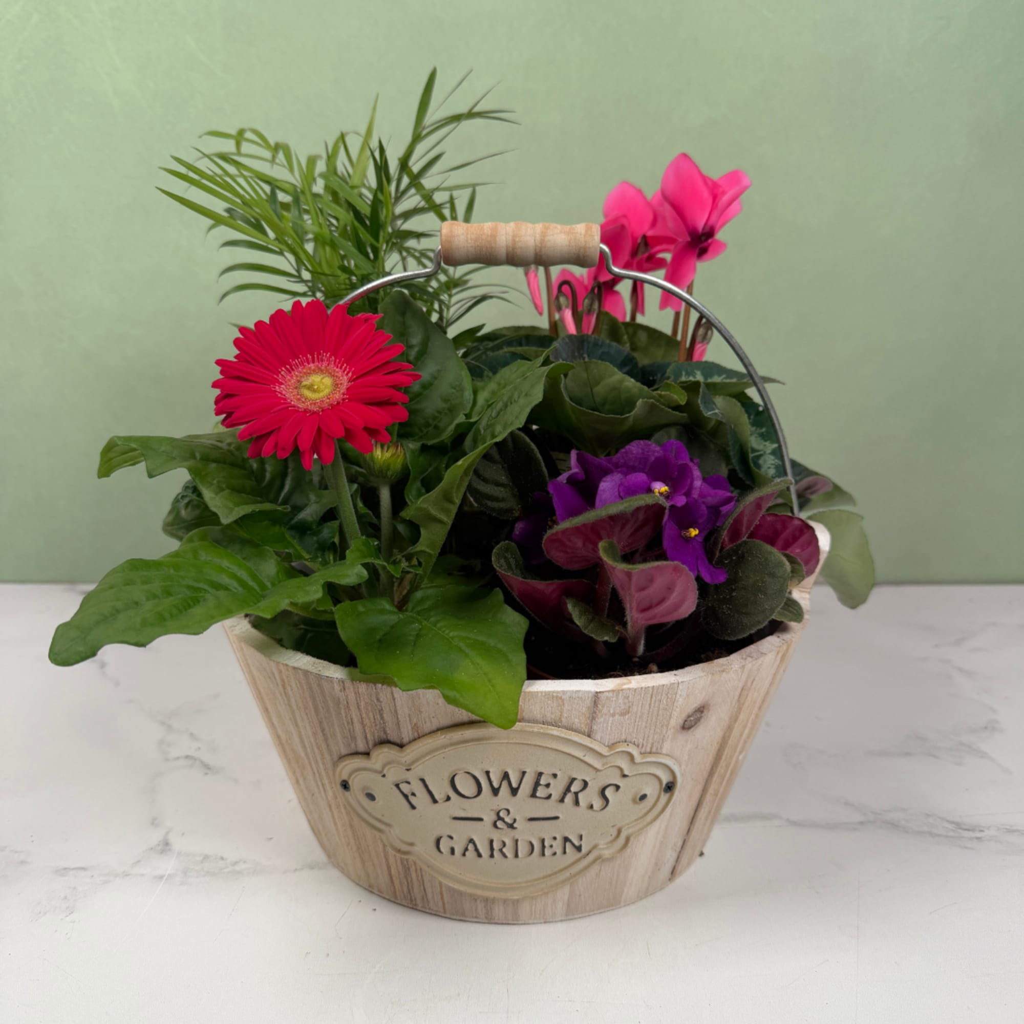 A cheerful, garden-style arrangement of potted flowering plants that feels like a
