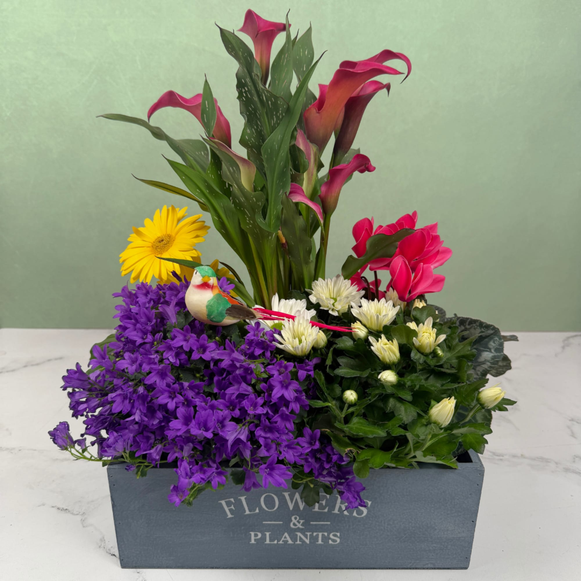 Songbird Serenade is a cheerful mixed-plant arrangement built to brighten a room