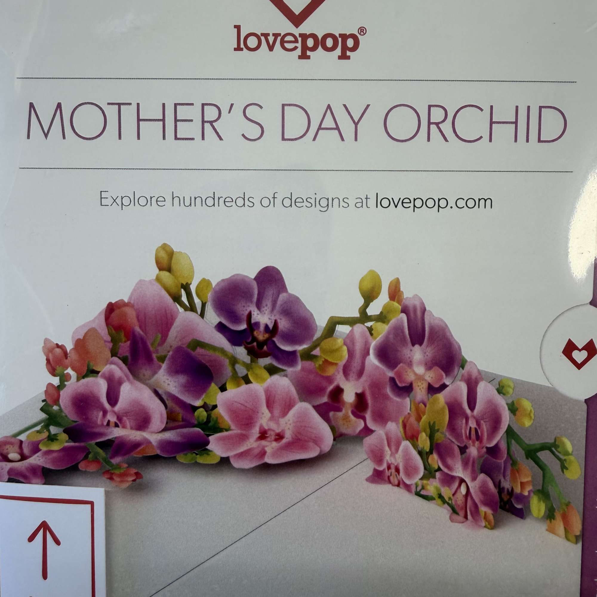 Must be ordered with Flowers or Plants for delivery!