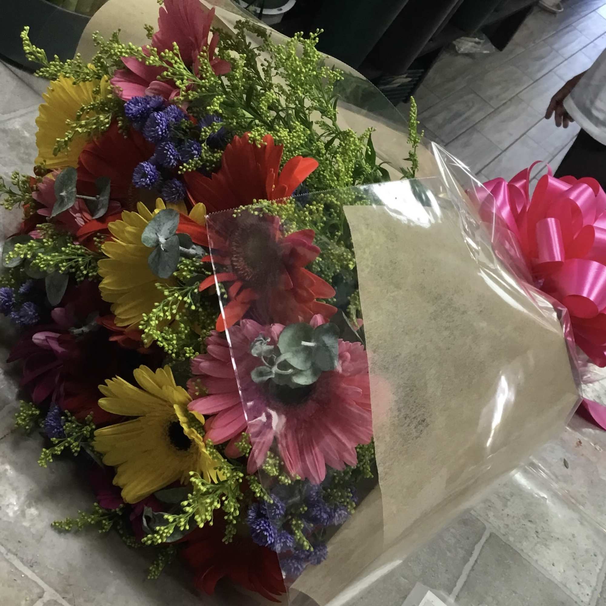 Colorful bouquet of gerbera daisies wrapped in clear plastic with a pink bow