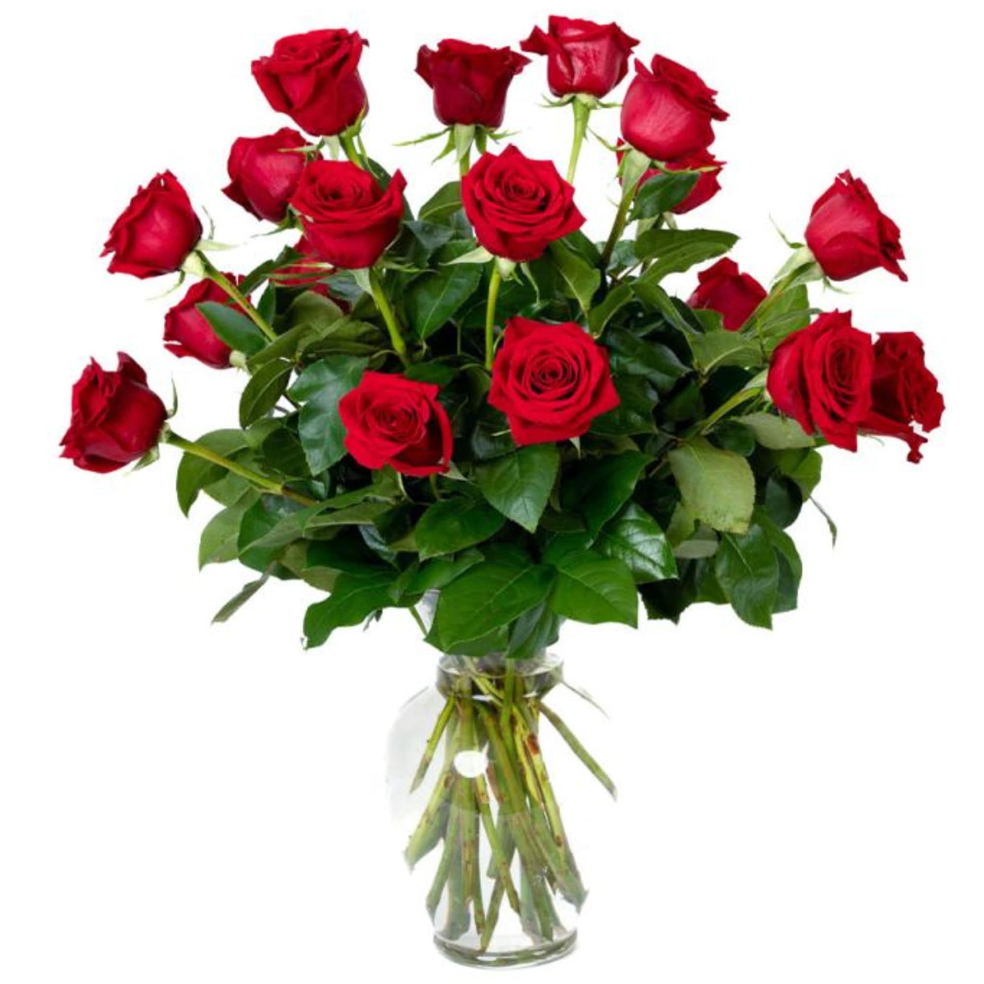 Tall arrangement of long-stemmed red roses in a clear glass vase