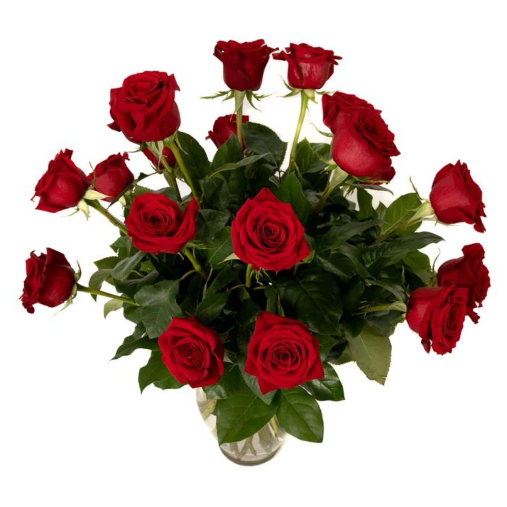 Tall arrangement of long-stem red roses in a clear glass vase