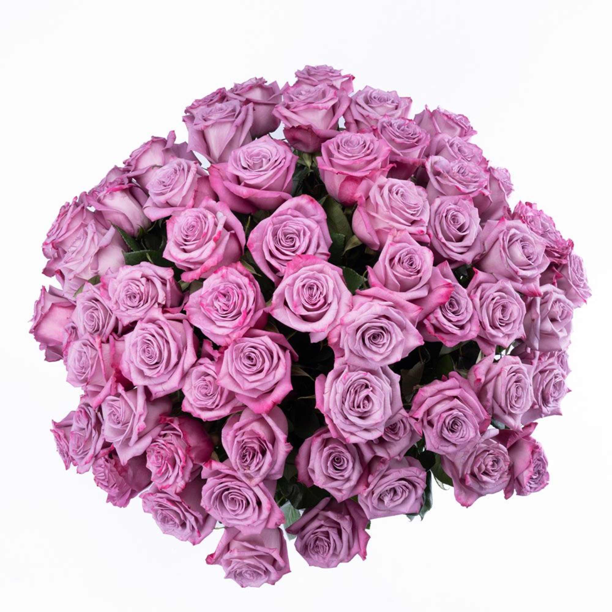 Large bouquet of tightly clustered lavender and pink roses against a white background