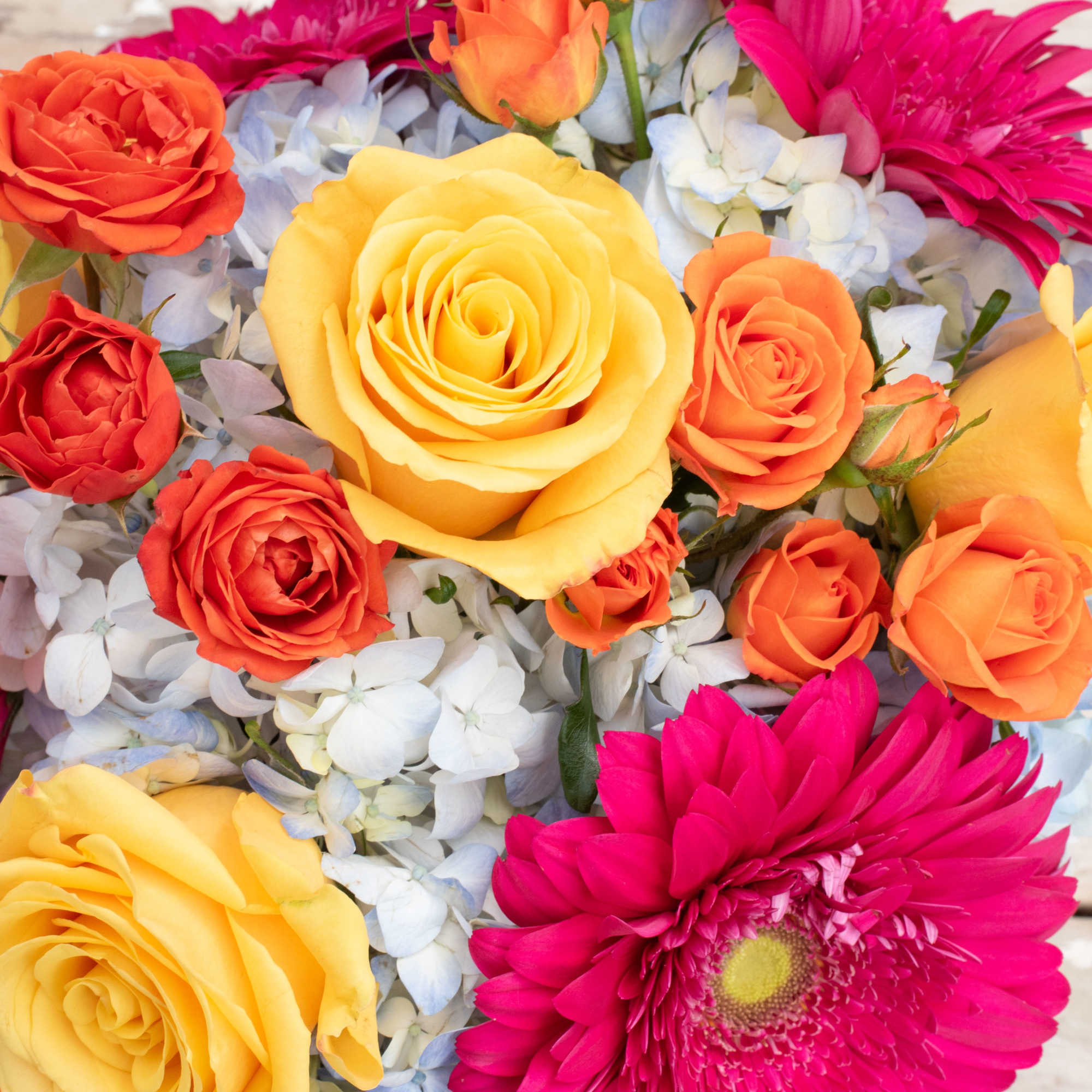 This beautiful arrangement is sure to brighten up any table or corner.