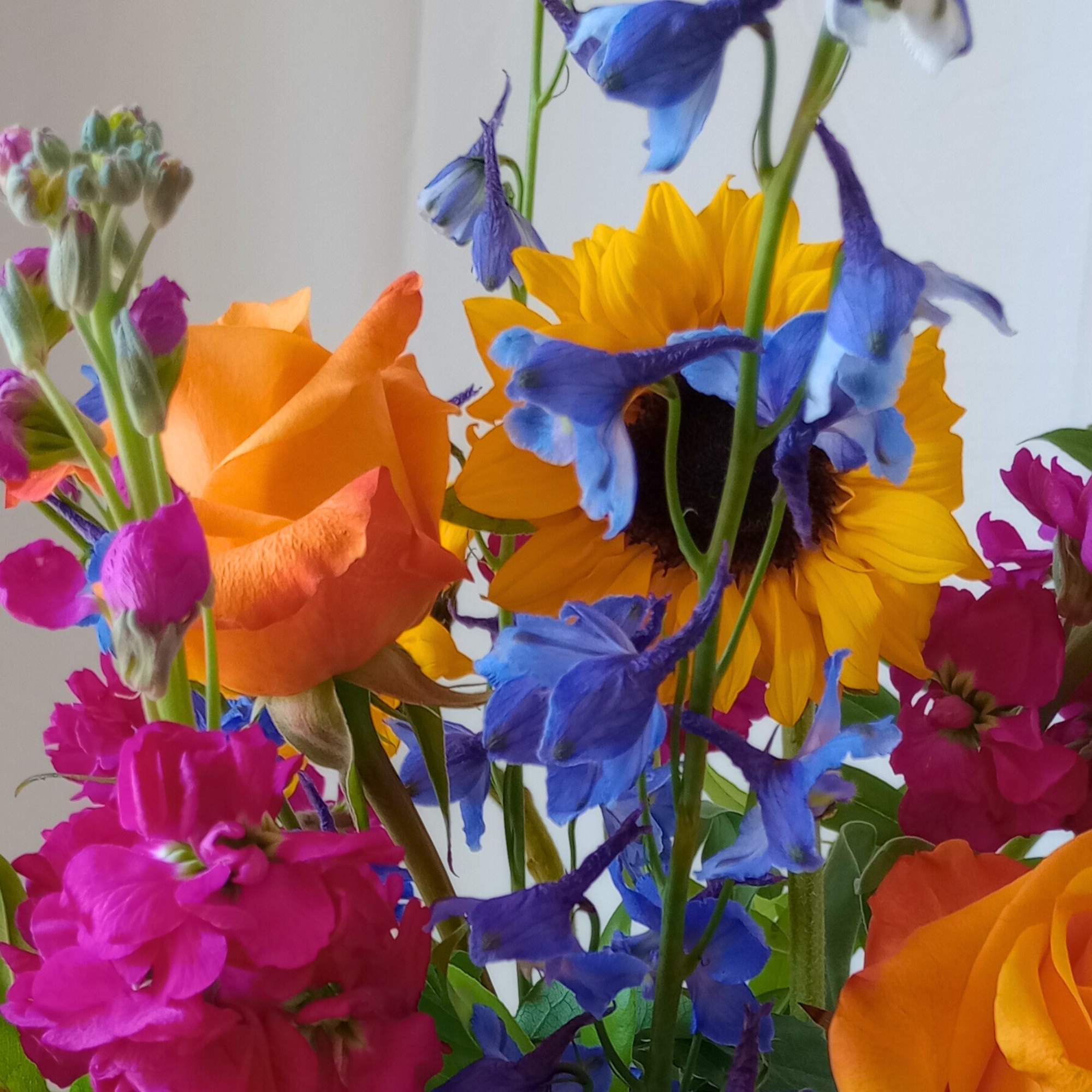 Colorful bouquet with sunflowers, orange roses, blue delphinium, and pink flowers