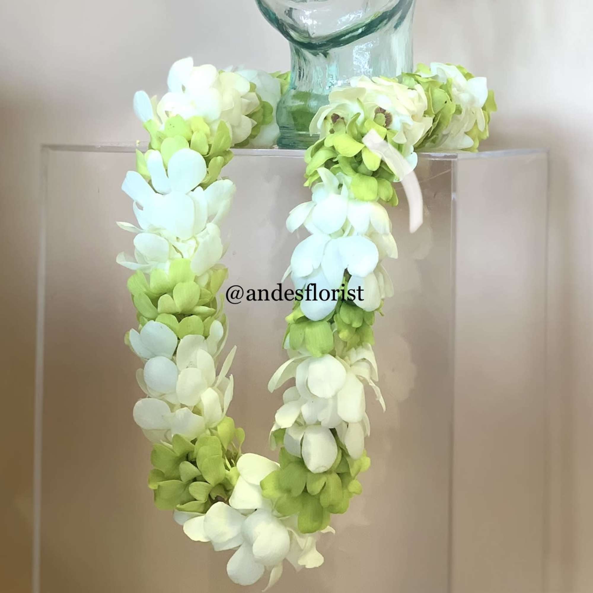 White and green floral lei draped over a clear display stand