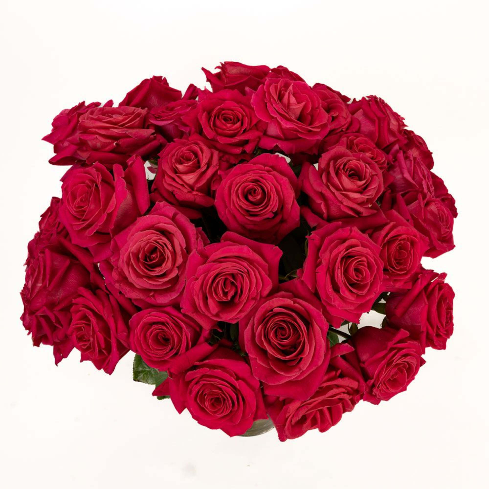 Tight arrangement of red roses viewed from above against a white background