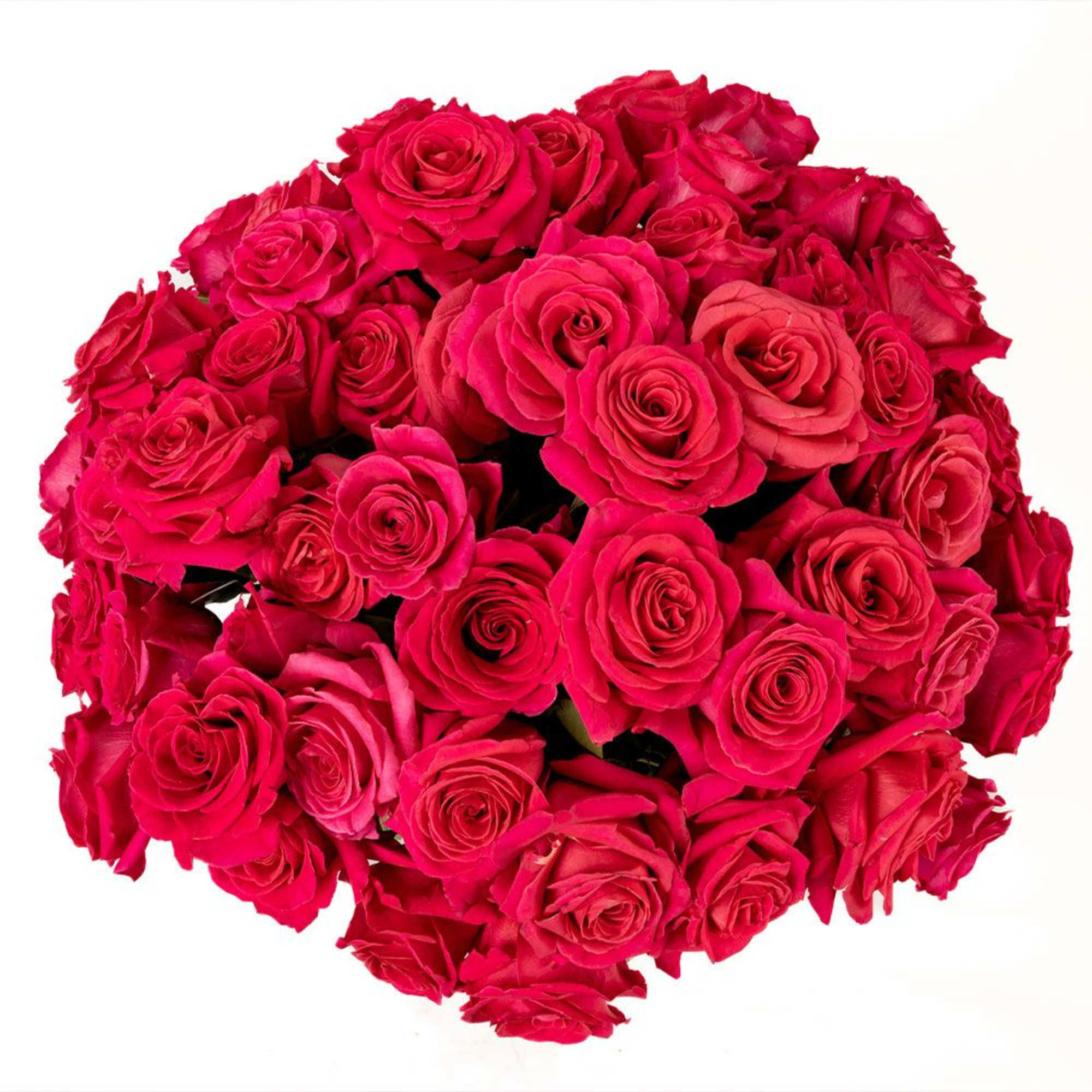 Tightly clustered bouquet of bright pink roses viewed from above
