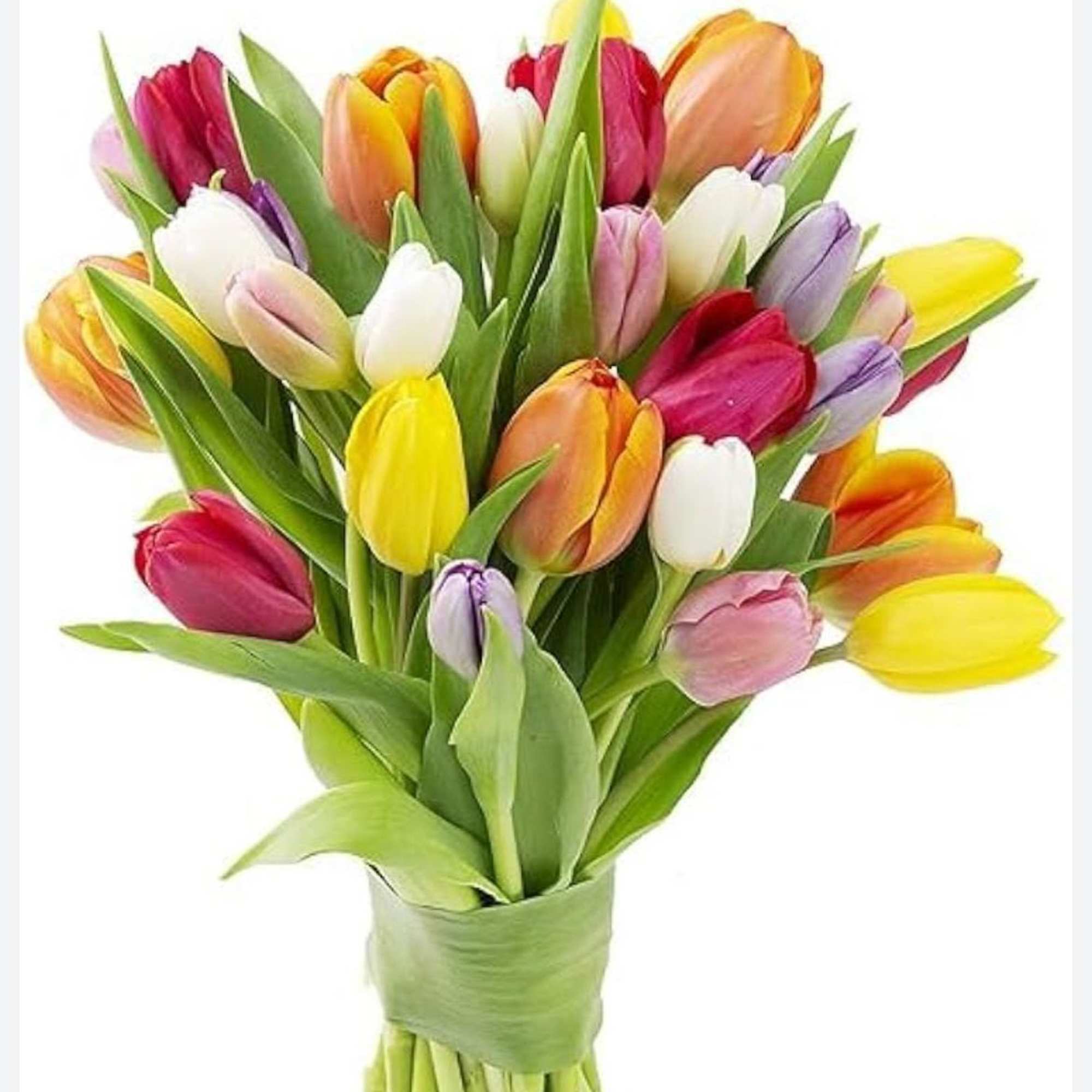 Beautiful bouquet of fresh tulips in a mix of colors &mdash; wrapped
