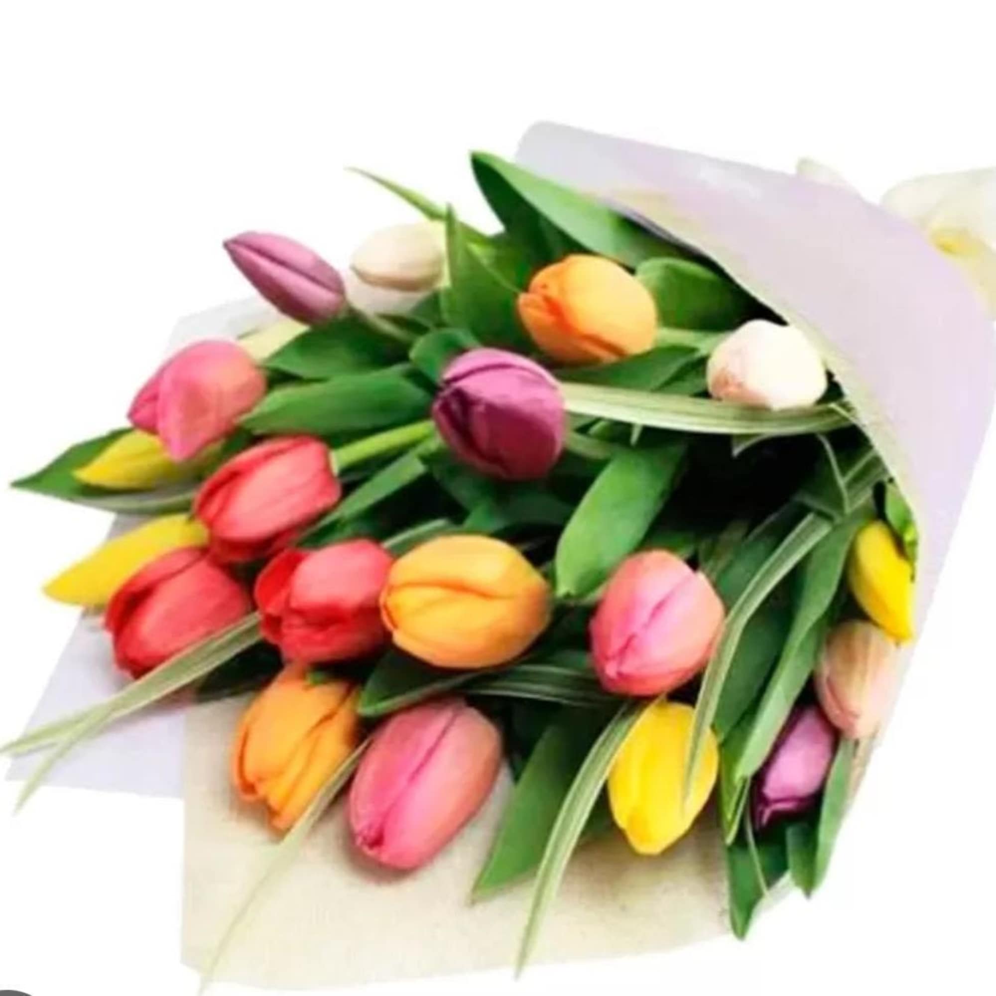 Beautiful bouquet of fresh tulips in a mix of colors &mdash; wrapped