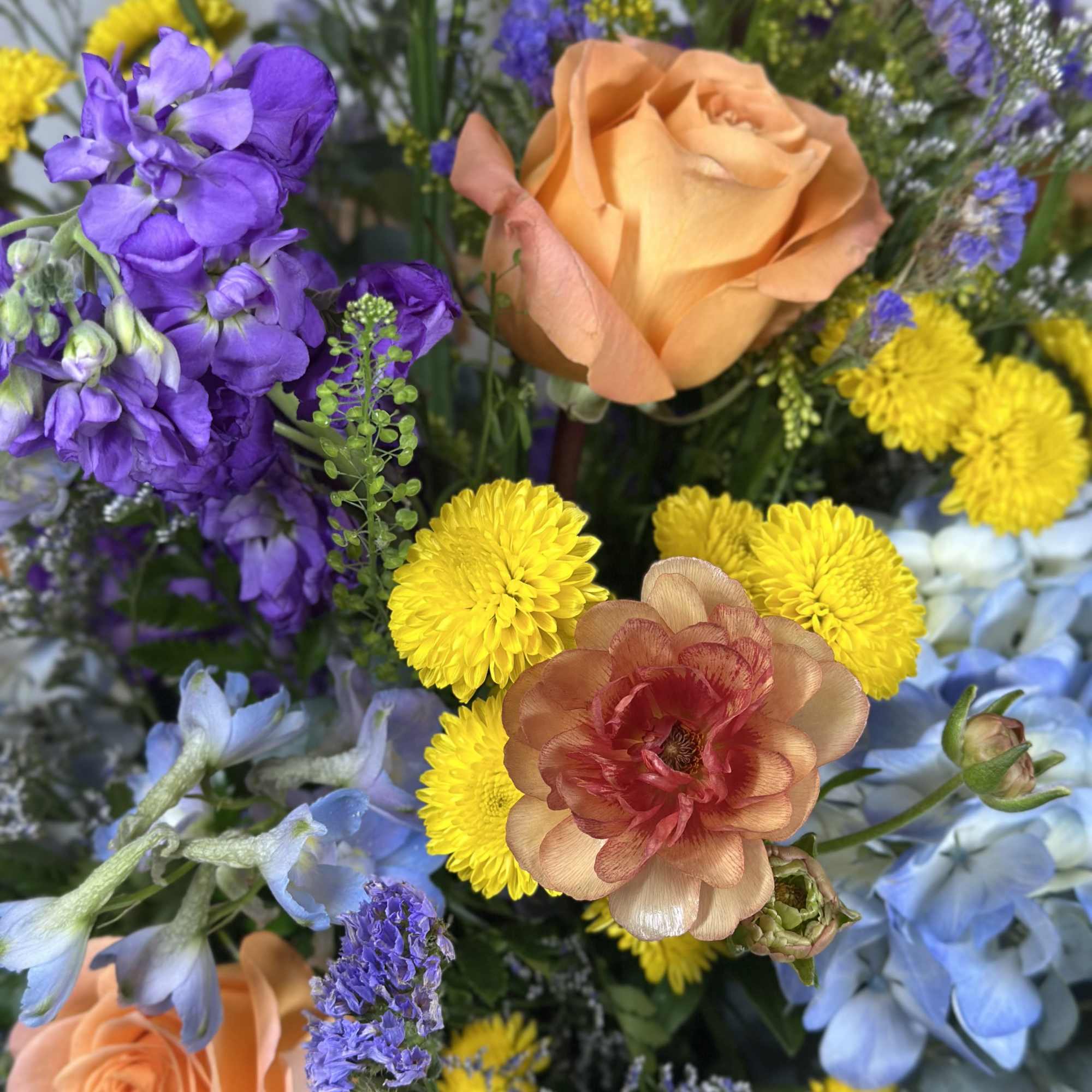 The colors and warmth of a summer sunset along the waters edge