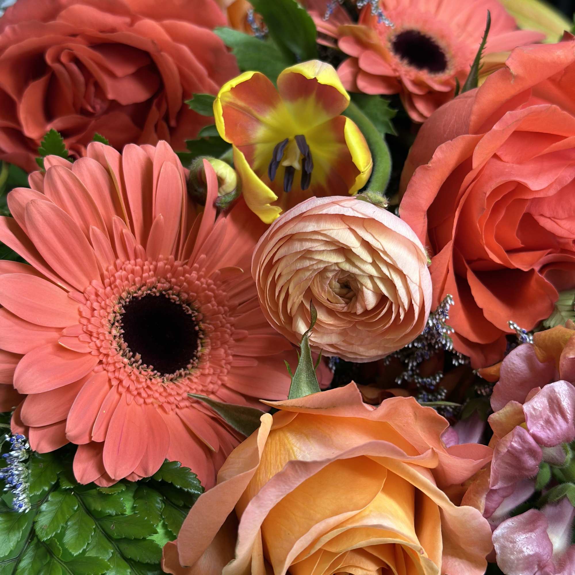 If you want to bring joy to someone, just send a boxed