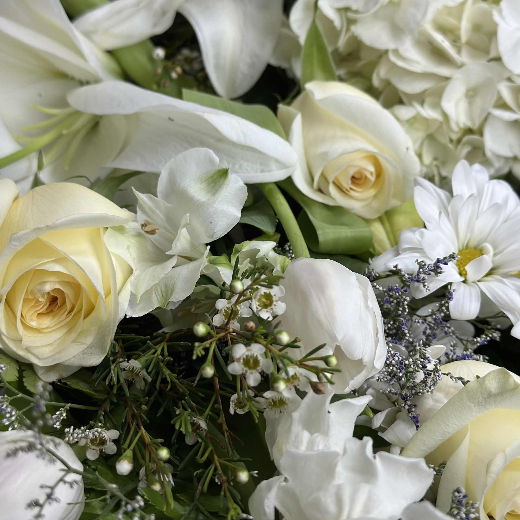 If you want to bring joy to someone, just send a boxed