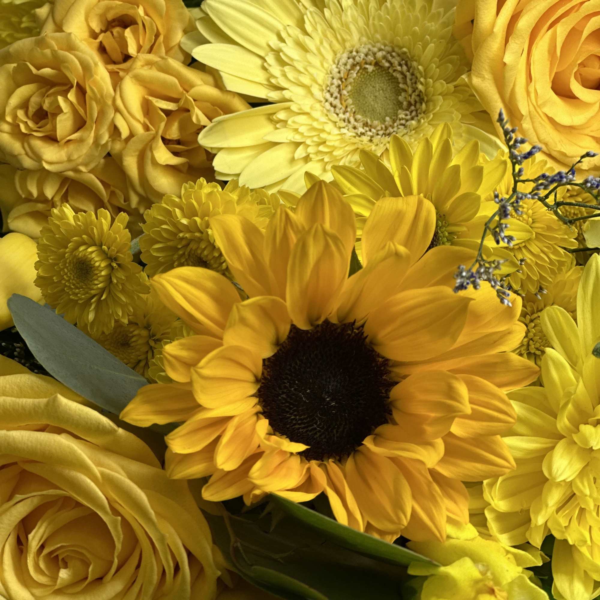 If you want to bring joy to someone, just send a boxed