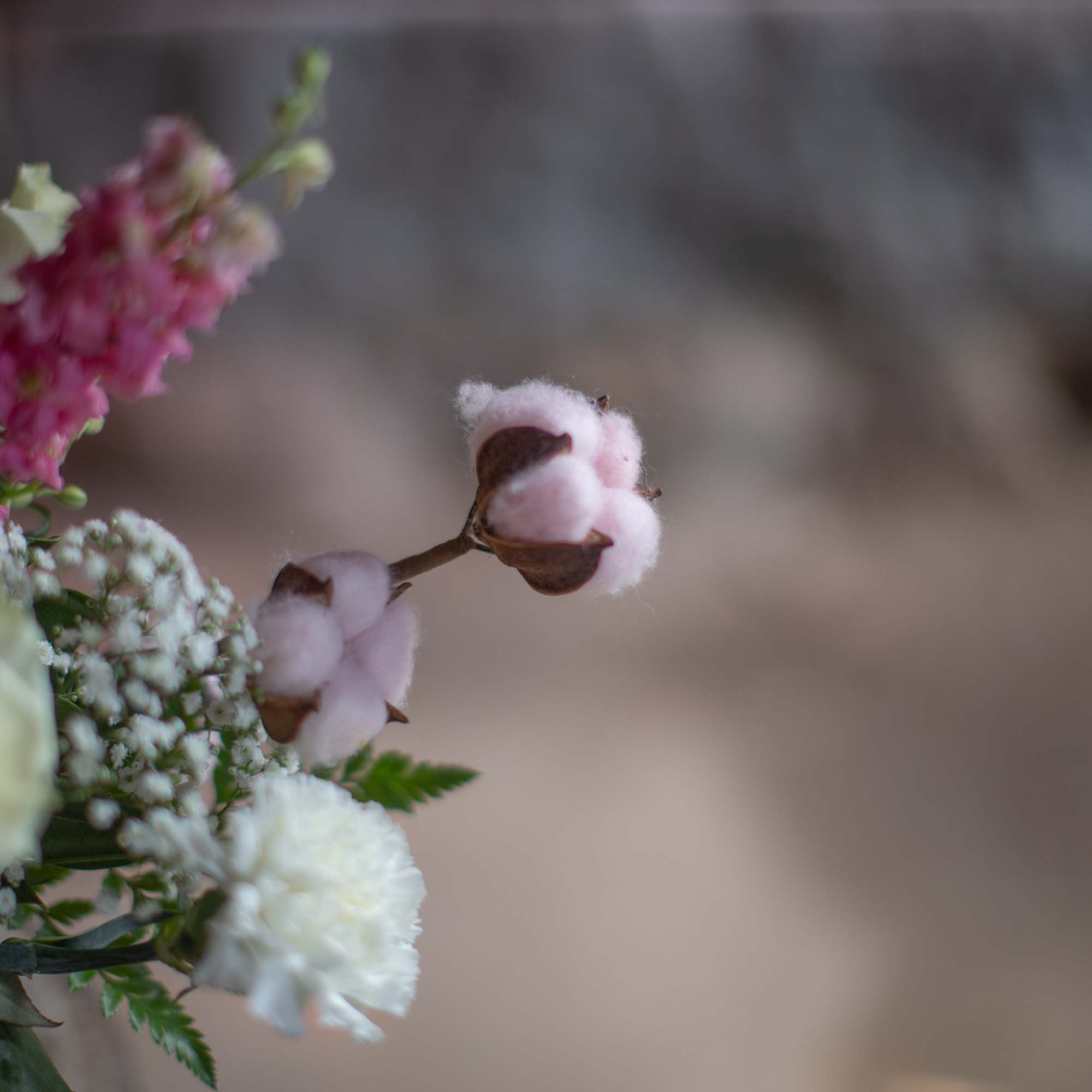 Bouquet with white and pink flowers and cotton stems