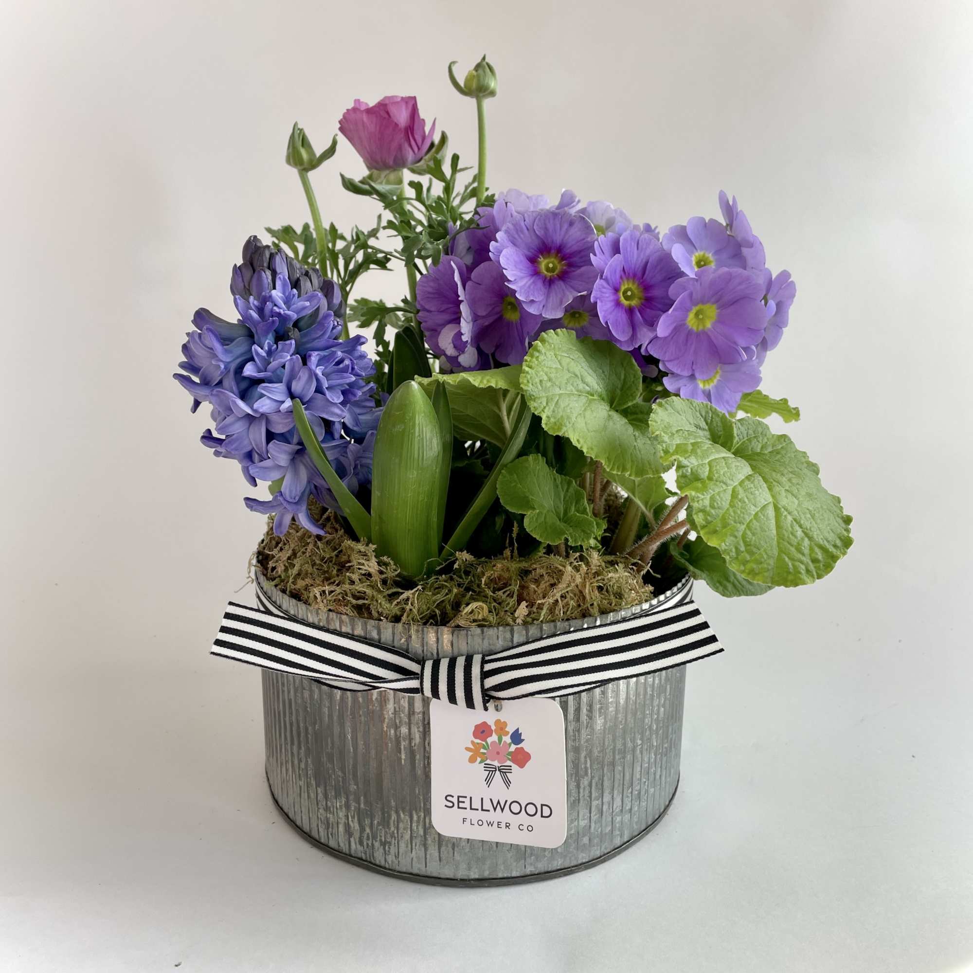This cheerful outdoor planter will continue to delight your recipient throughout the