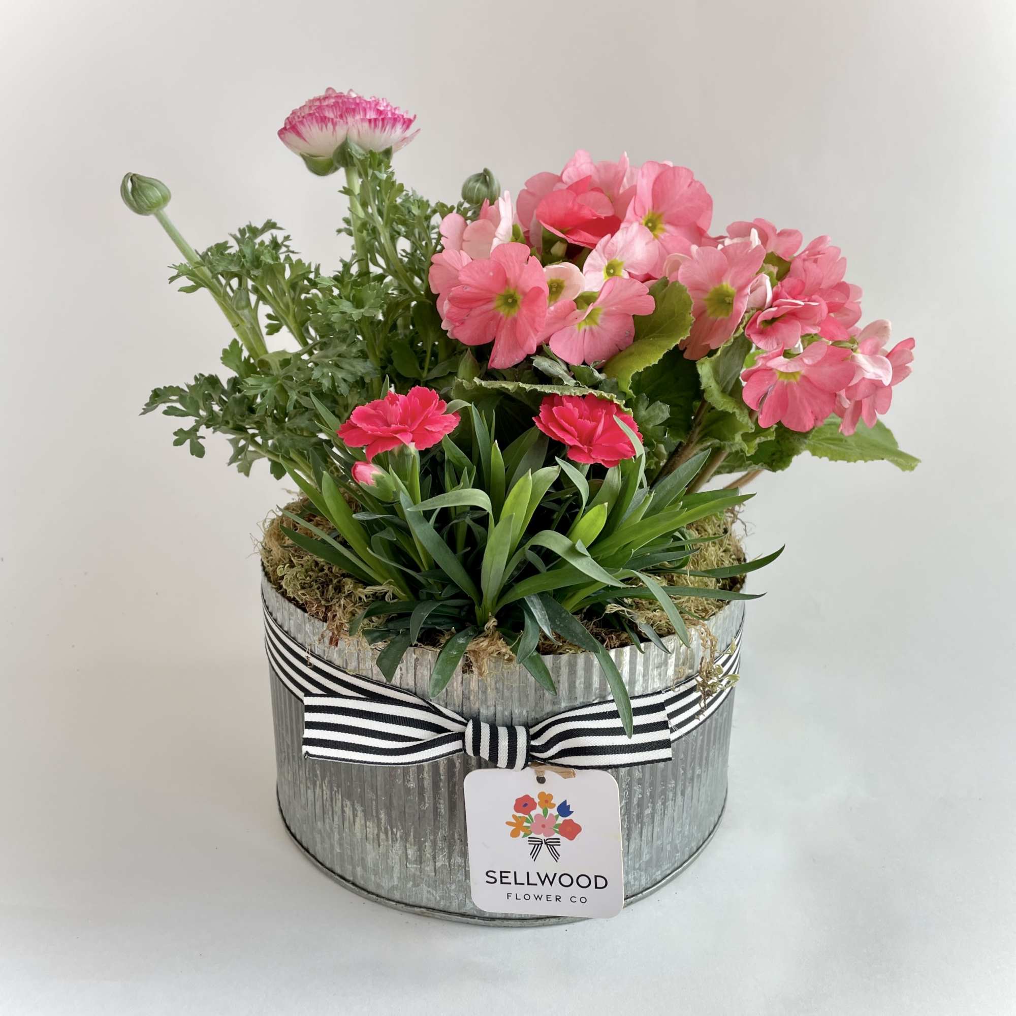 This cheerful outdoor planter will continue to delight your recipient throughout the