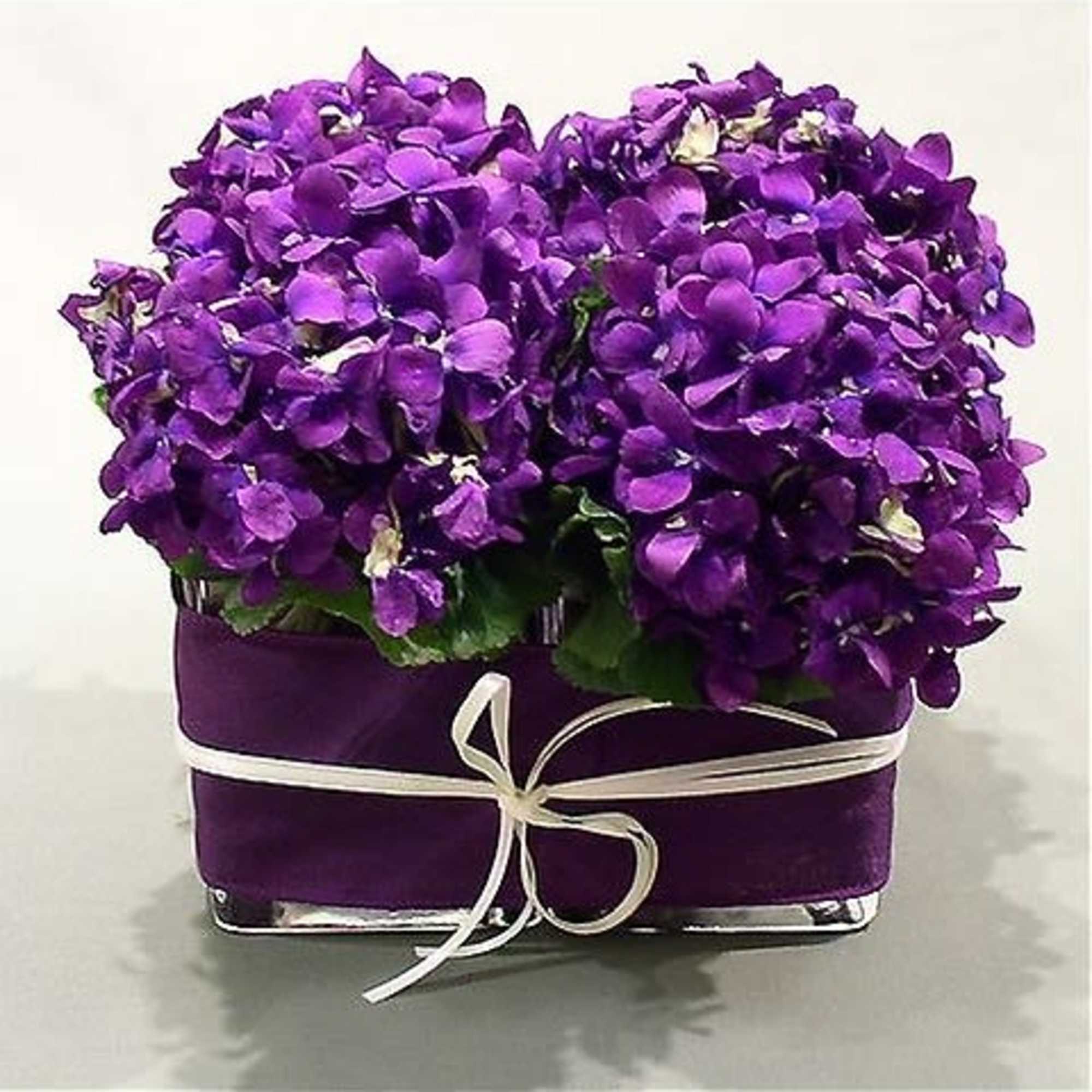 Lush lavender blossoms in a contemporary square vase lined with adorning lavender