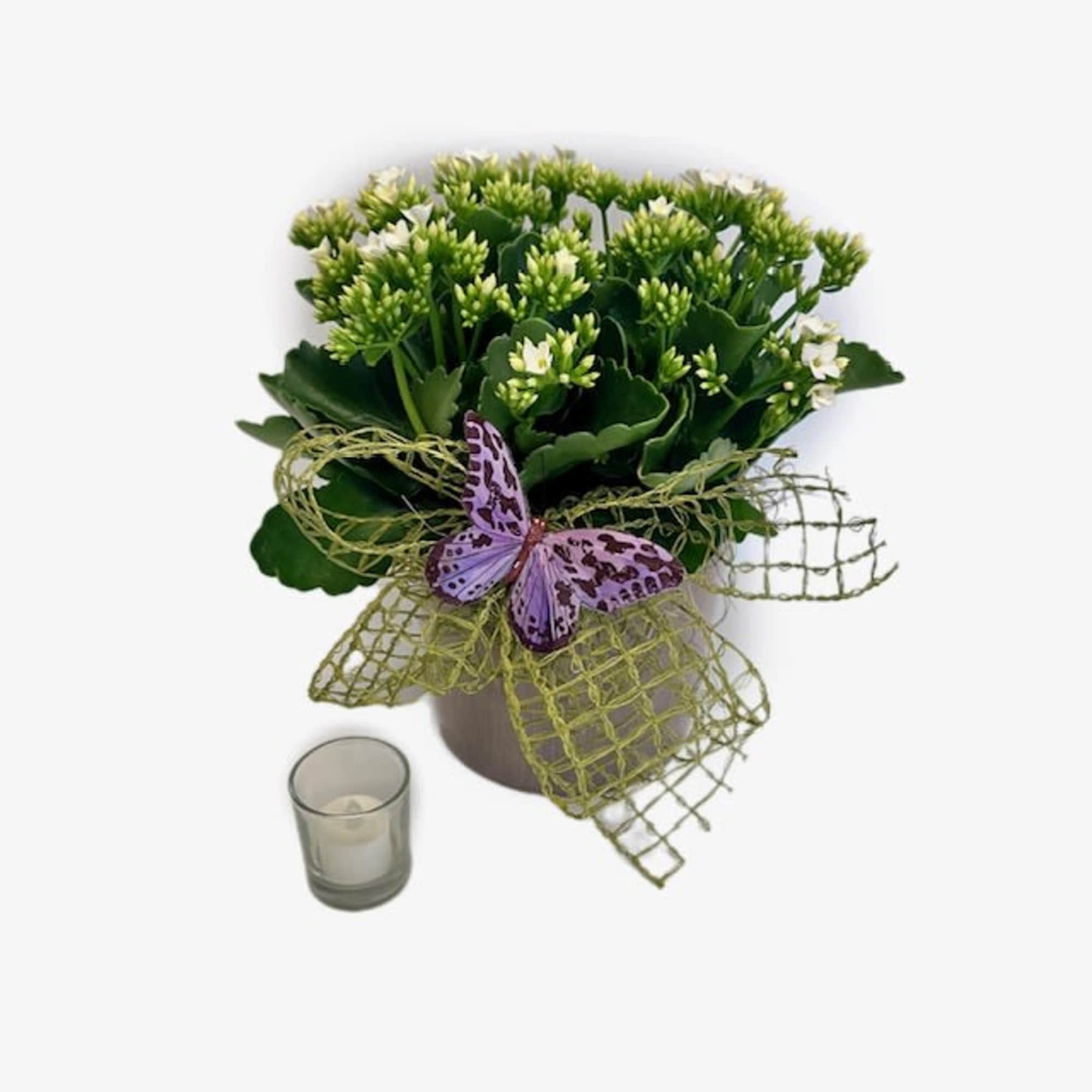 Potted green flowering plant with a purple butterfly decoration and a small candle