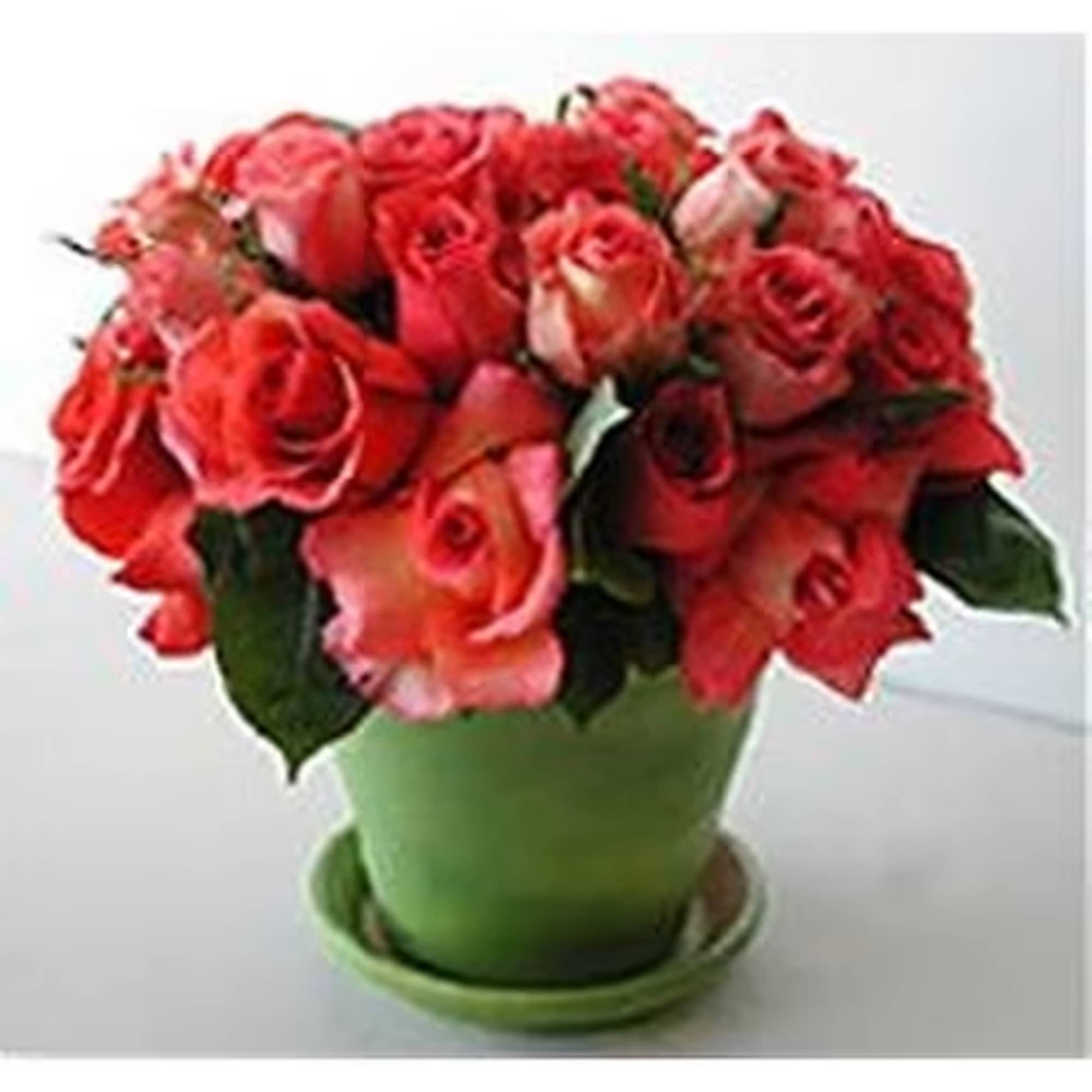 Roses in a terracata pot is a beautiful way show your love